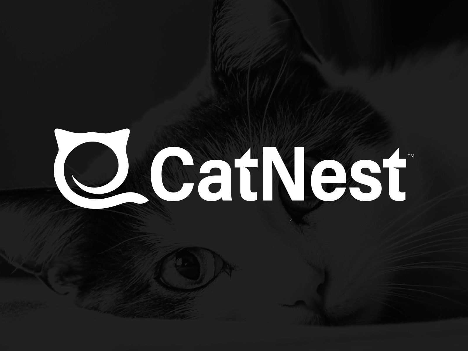 CatNest image 1