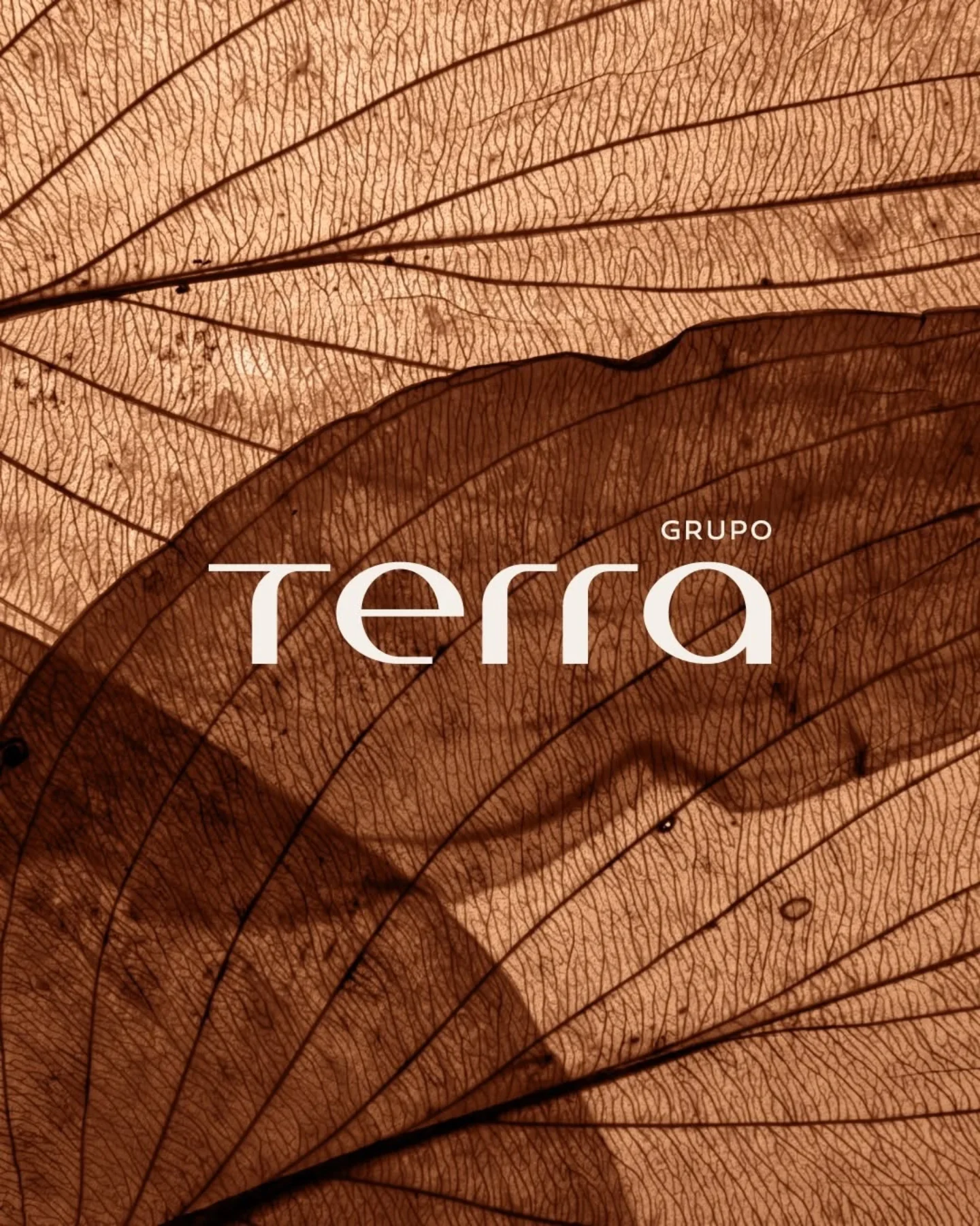 Terra GRUPO image 1