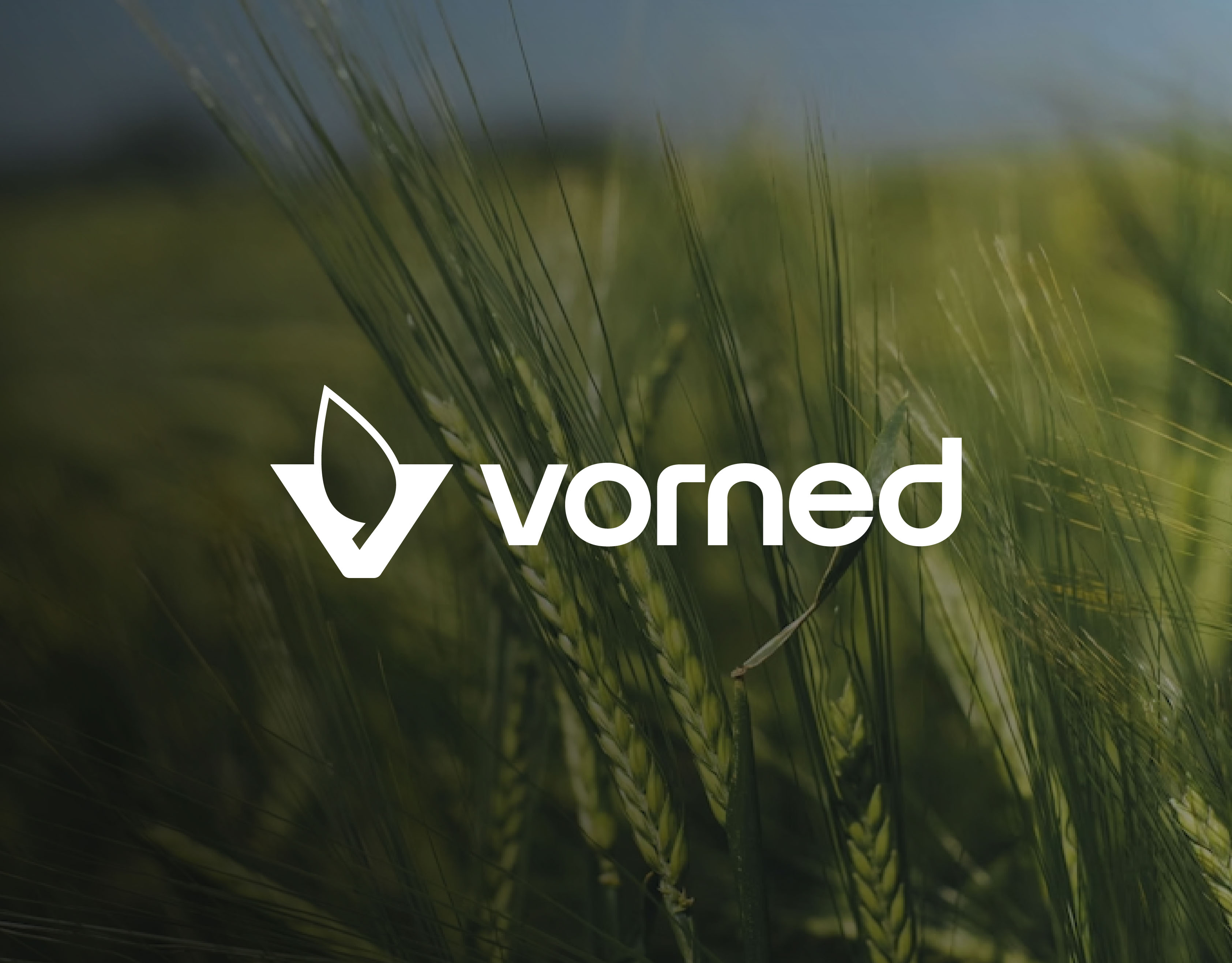 vorned image 1
