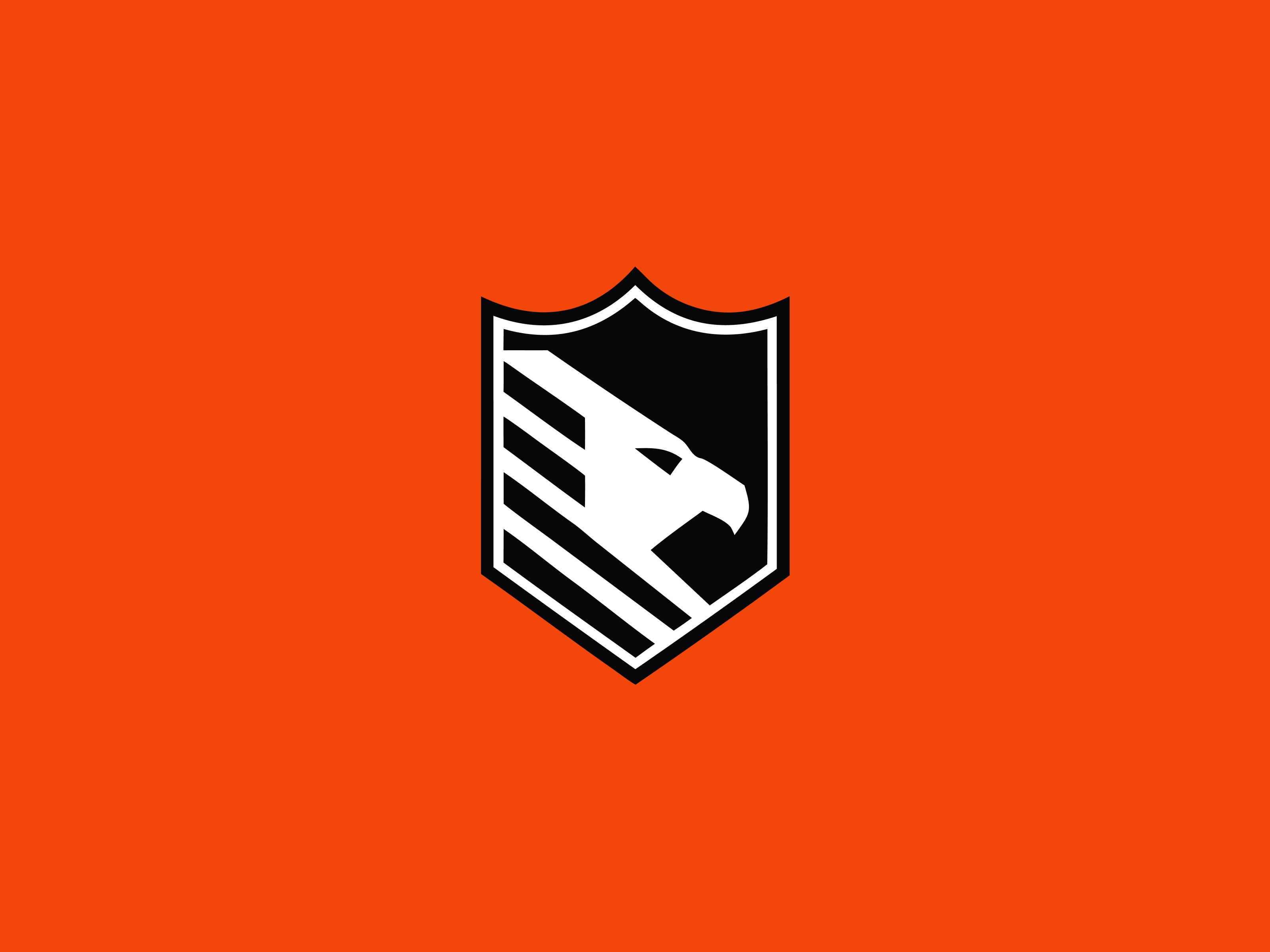Eagle Shield image 1