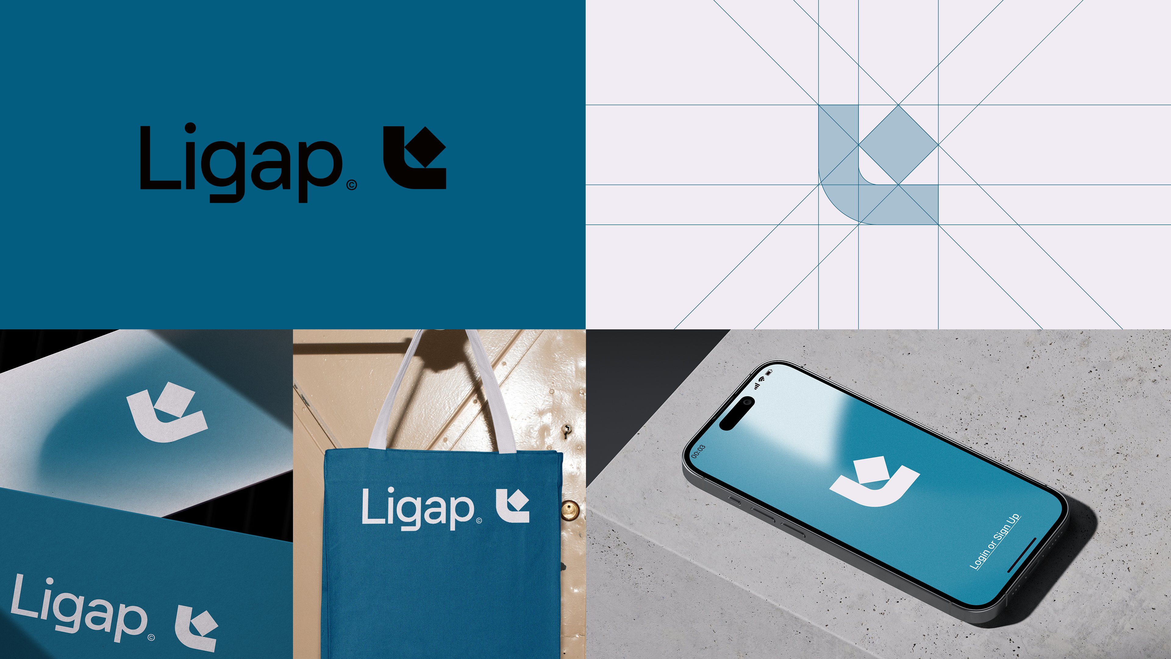 Ligap image 2