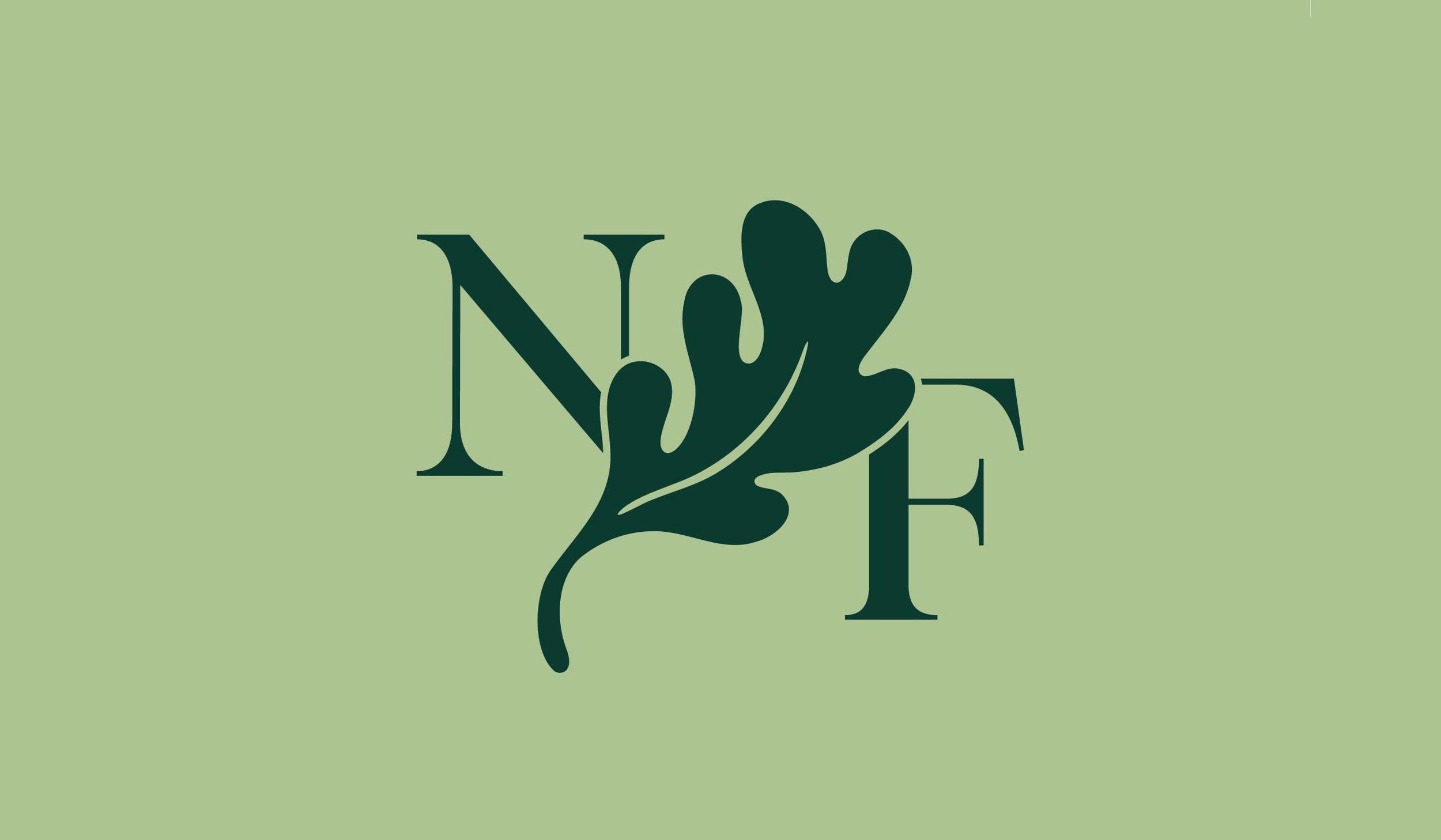 The New Forest image 1