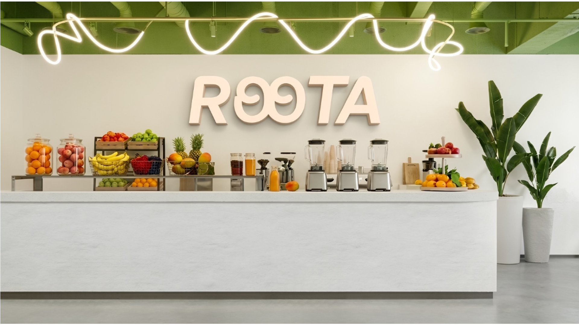 ROOTA image 3