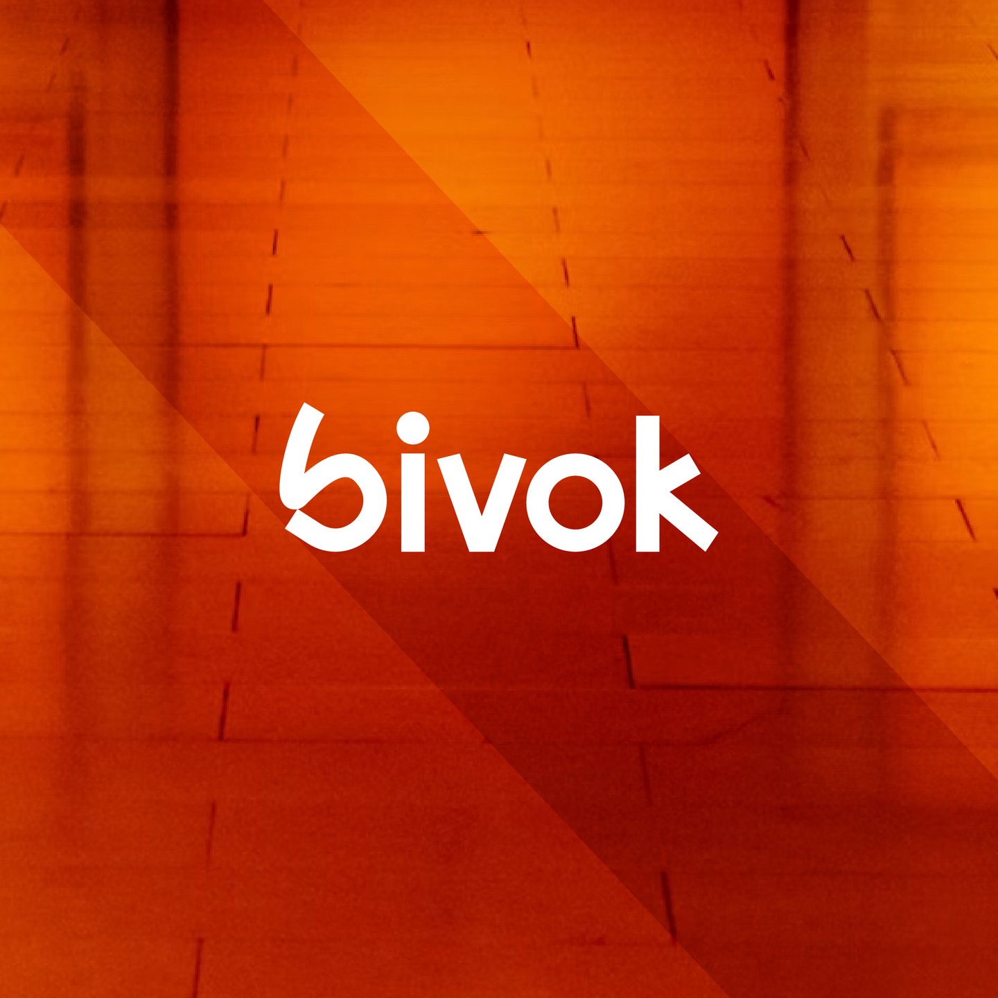 bivok image 1
