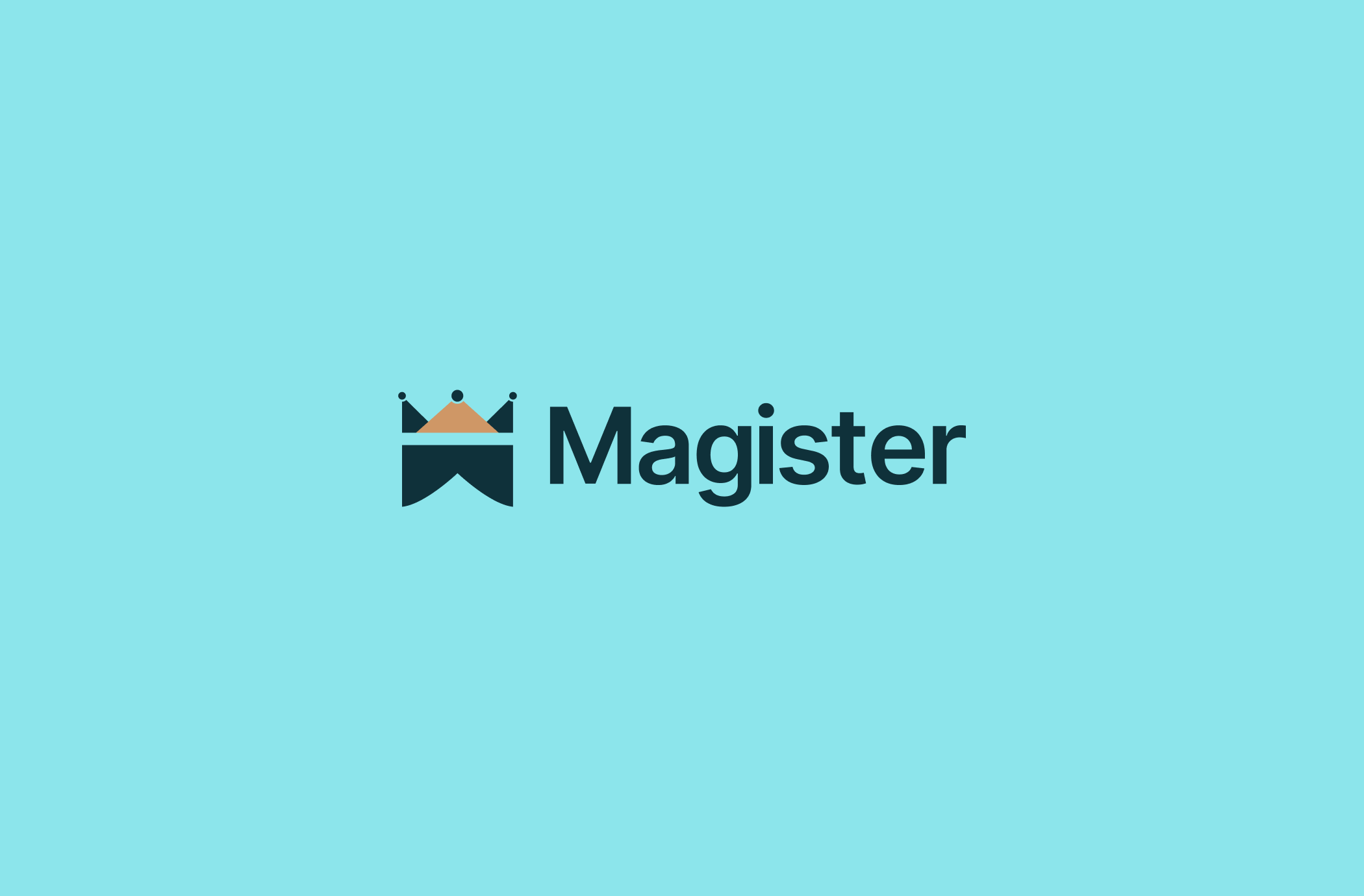 Magister image 1