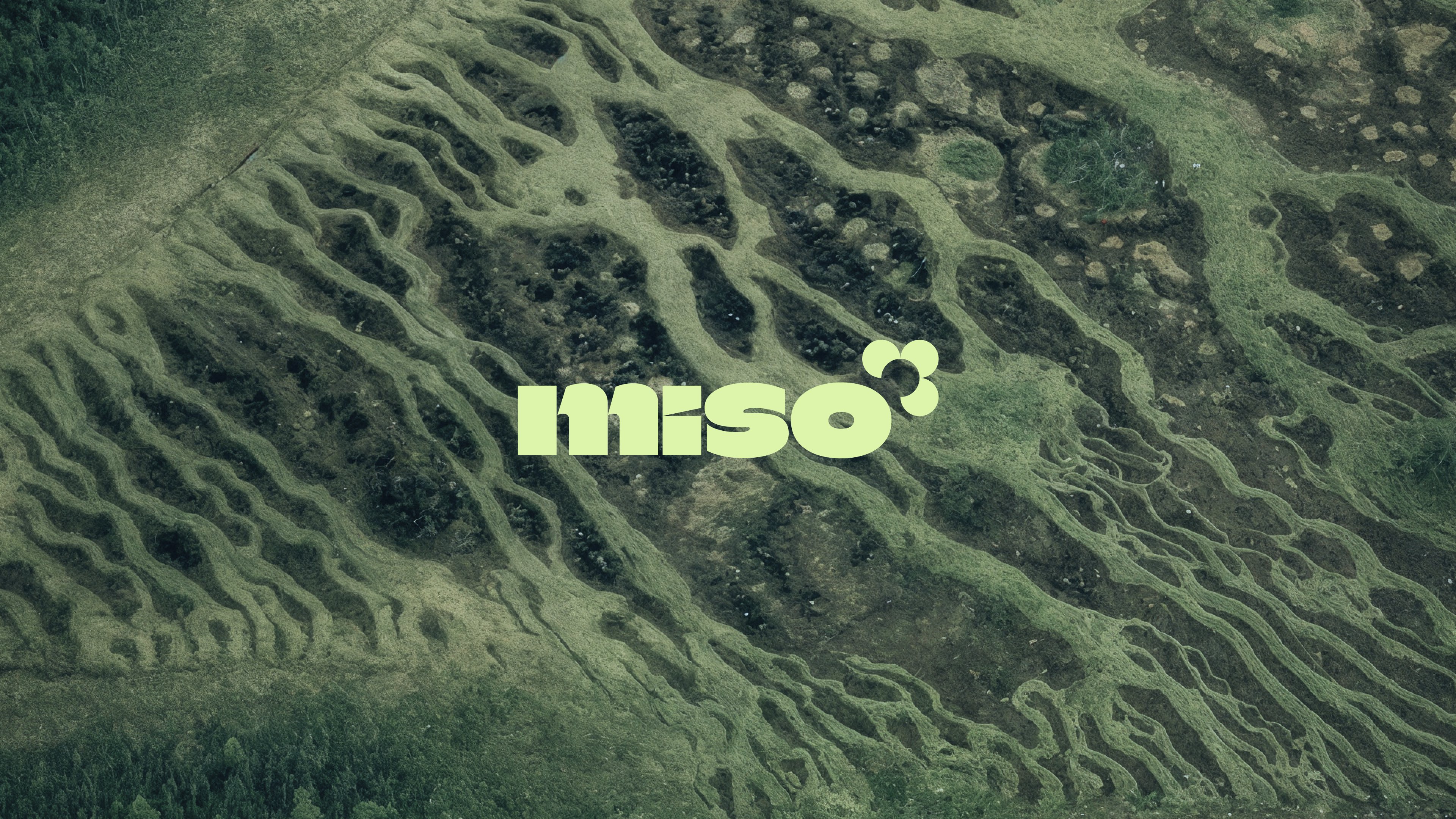 MESO image 1