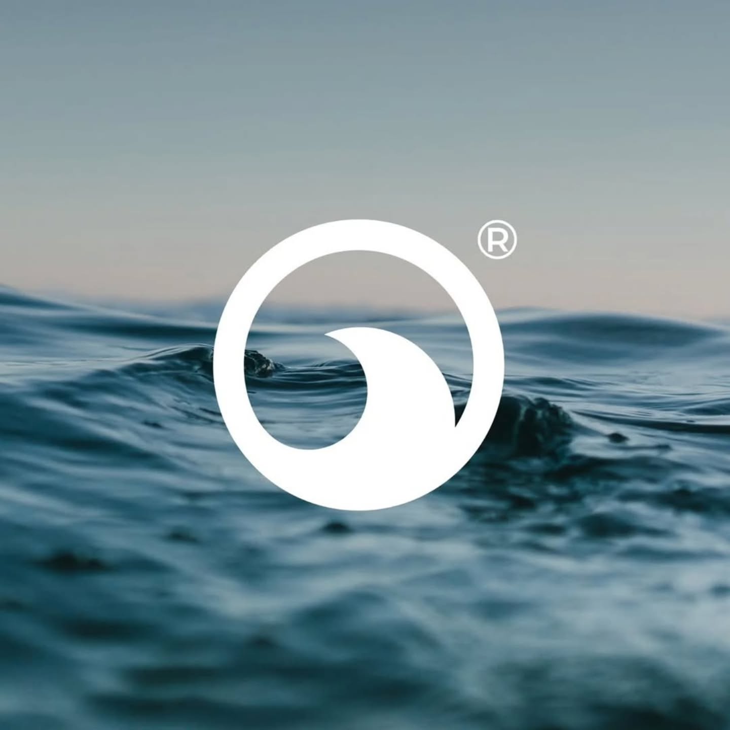 OpenSea Wave Circle image 1