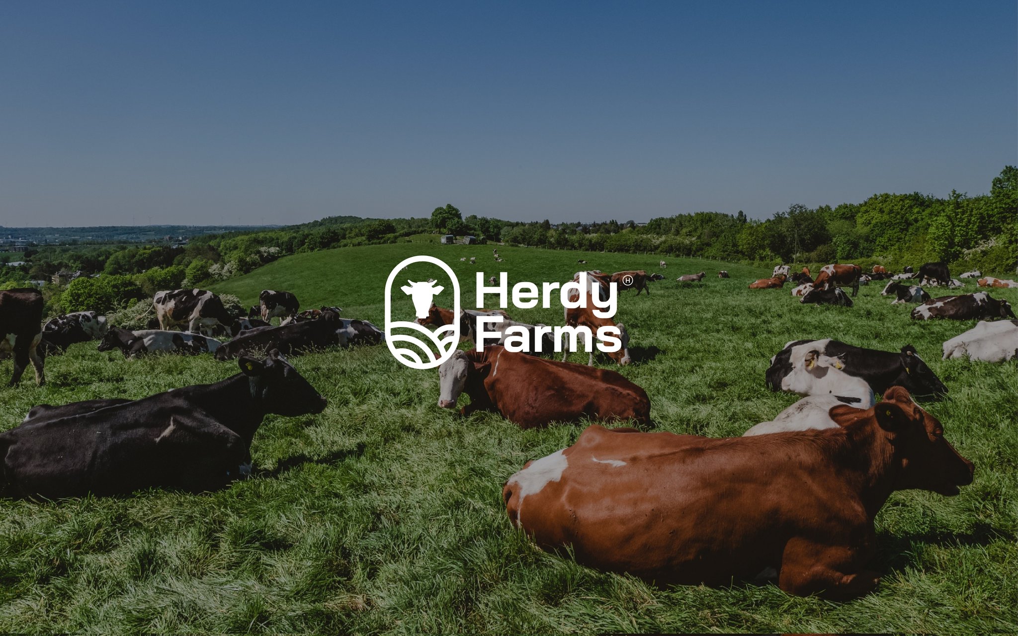 Herdy Farms image 1