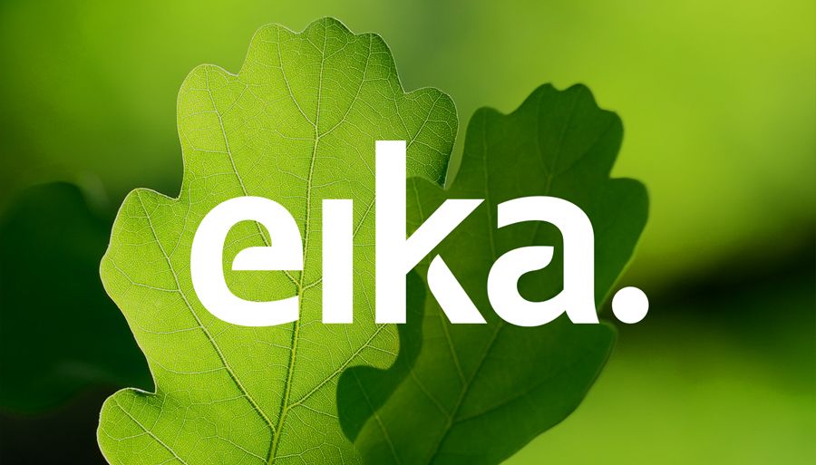 eika. image 1