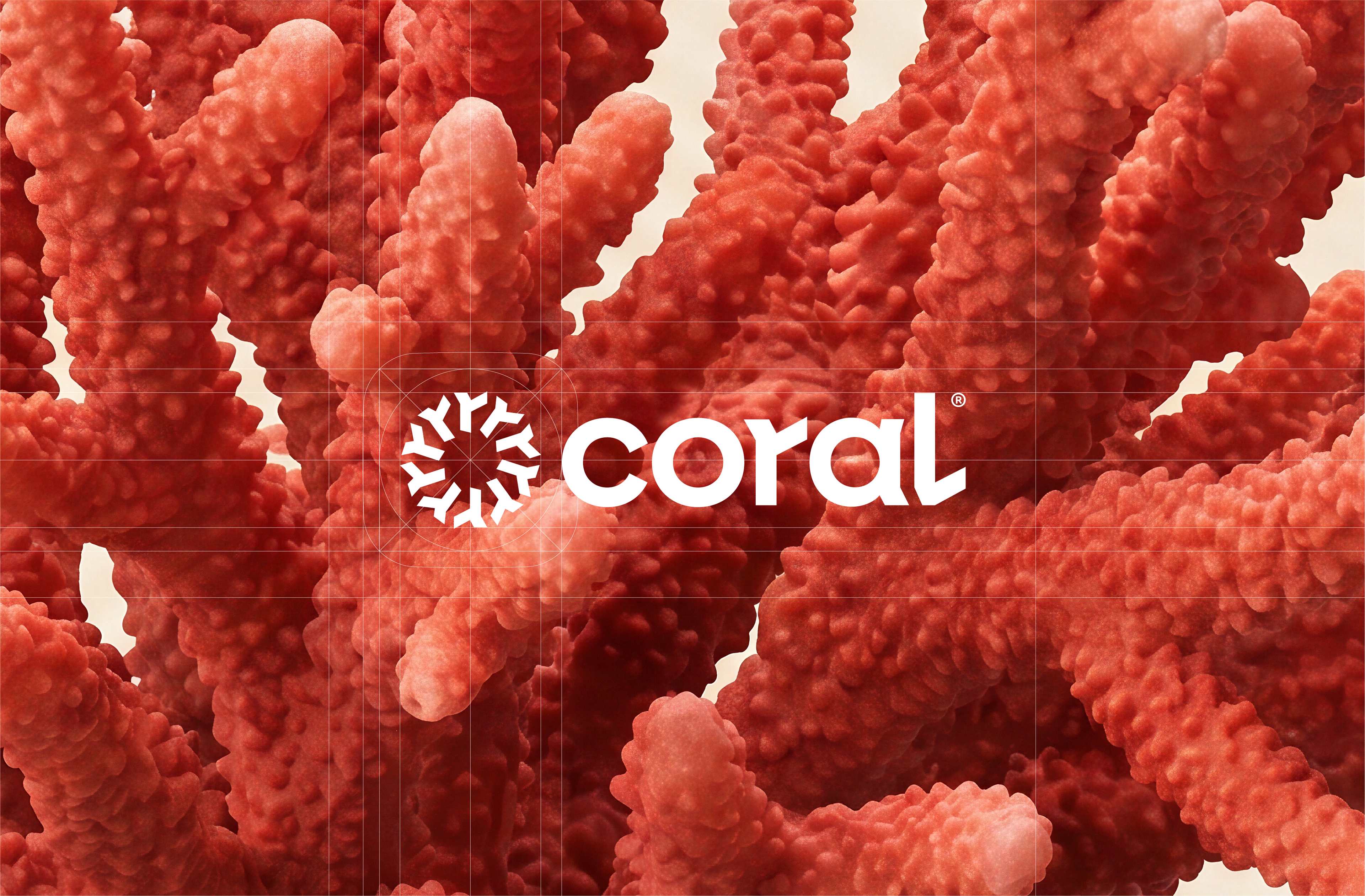 coral image 1