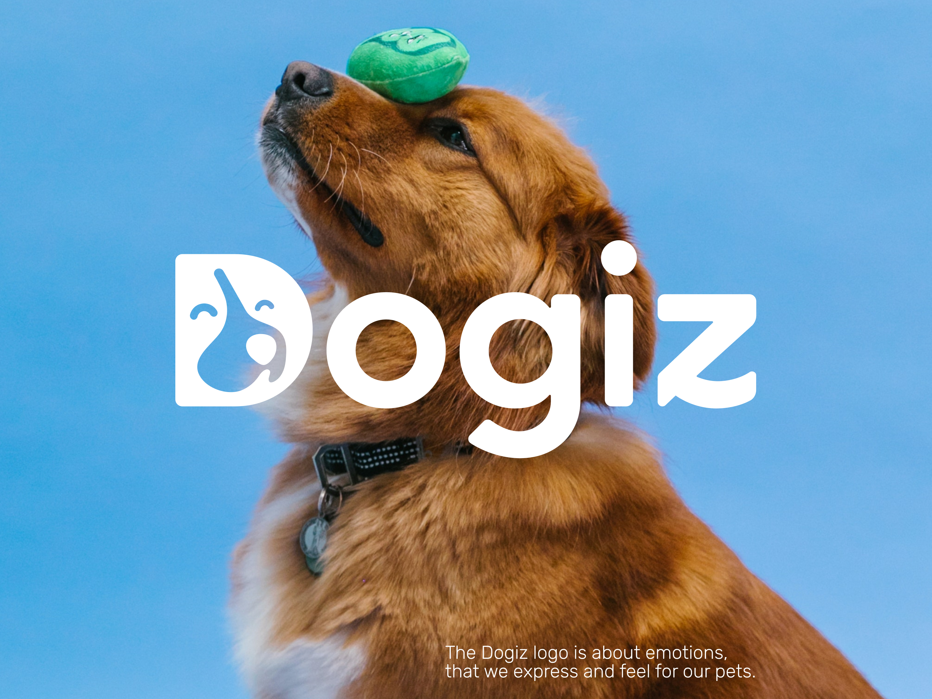 Dogiz image 1