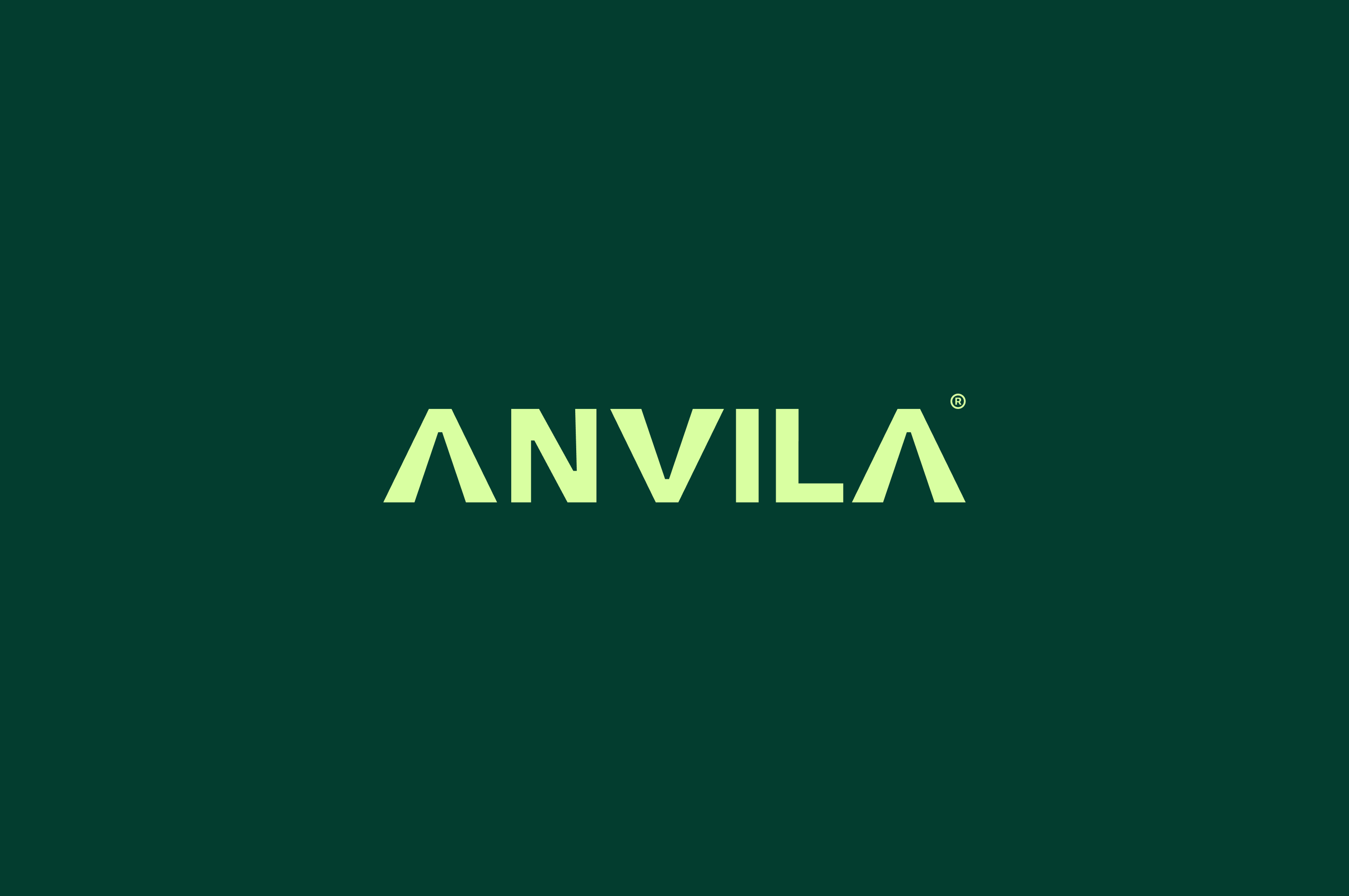 ANVILA image 1