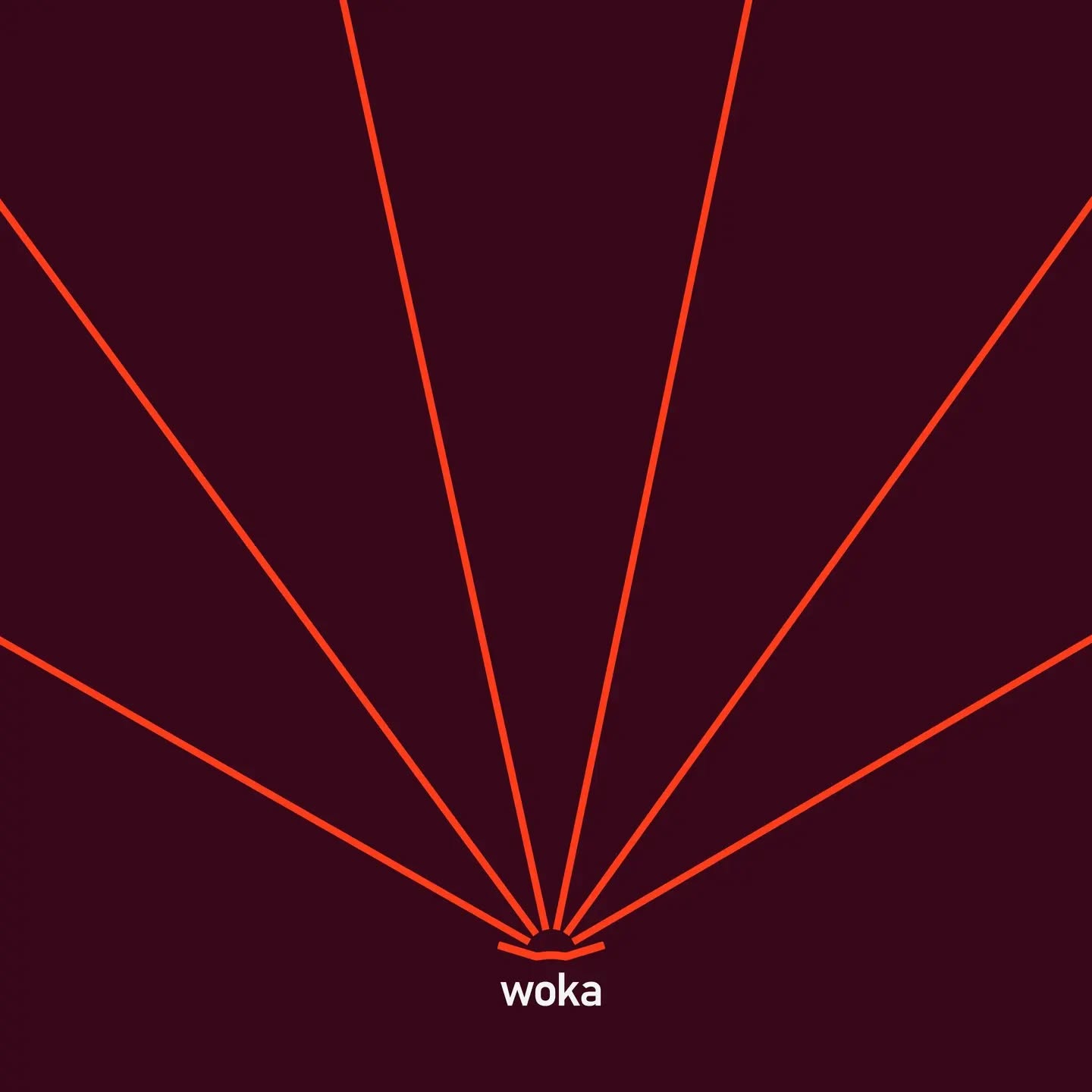 Woka image 3