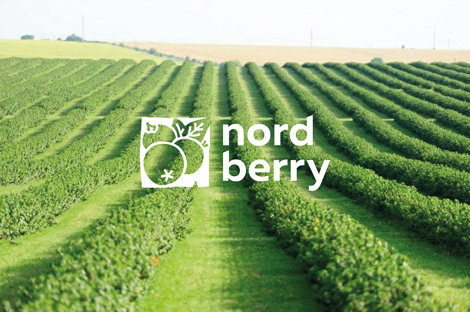 nord berry image 1