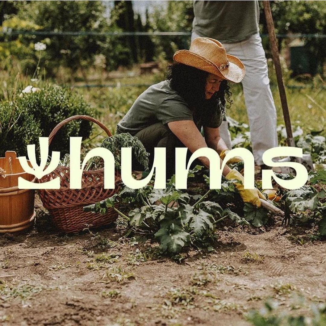 Hums image 1