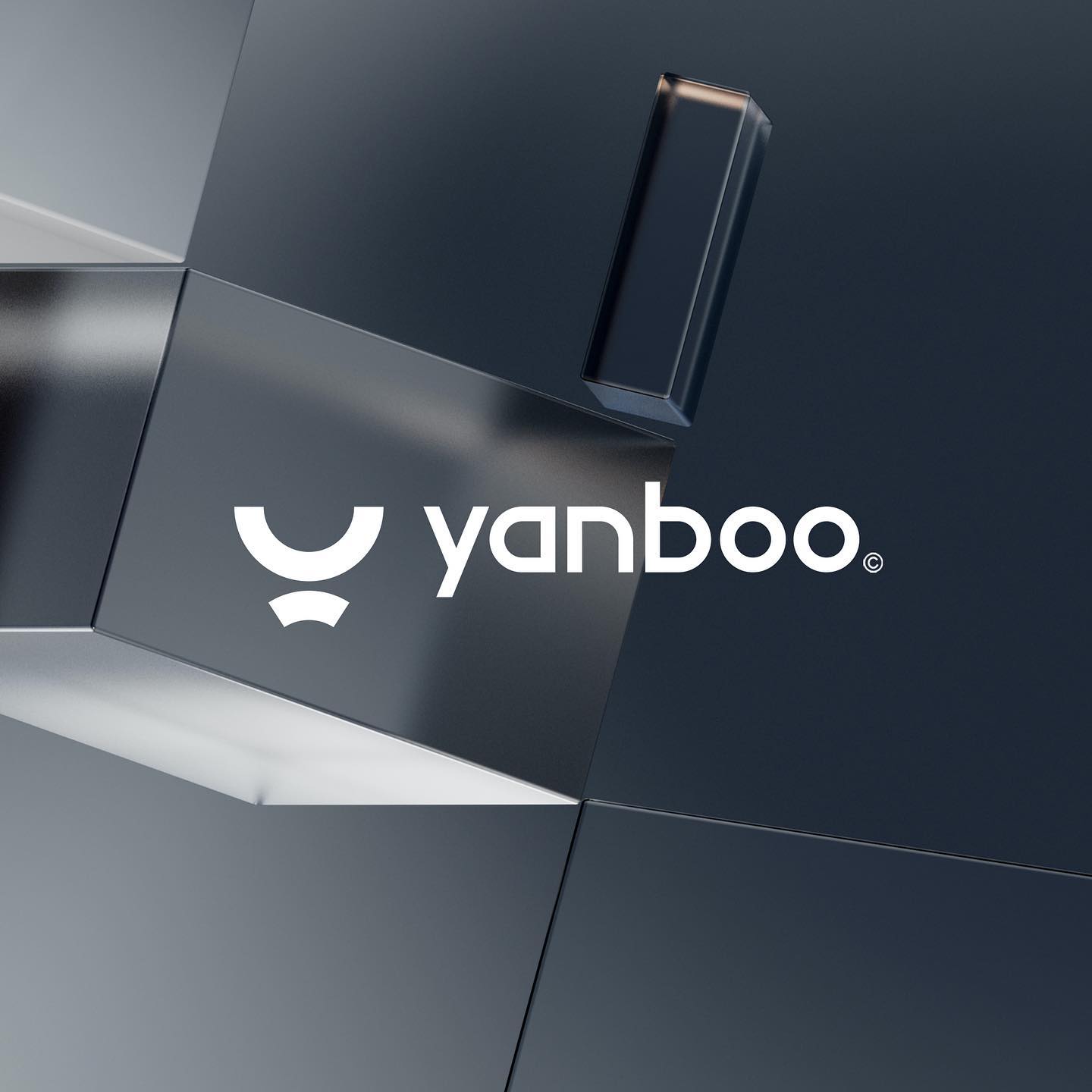 yanboo image 1