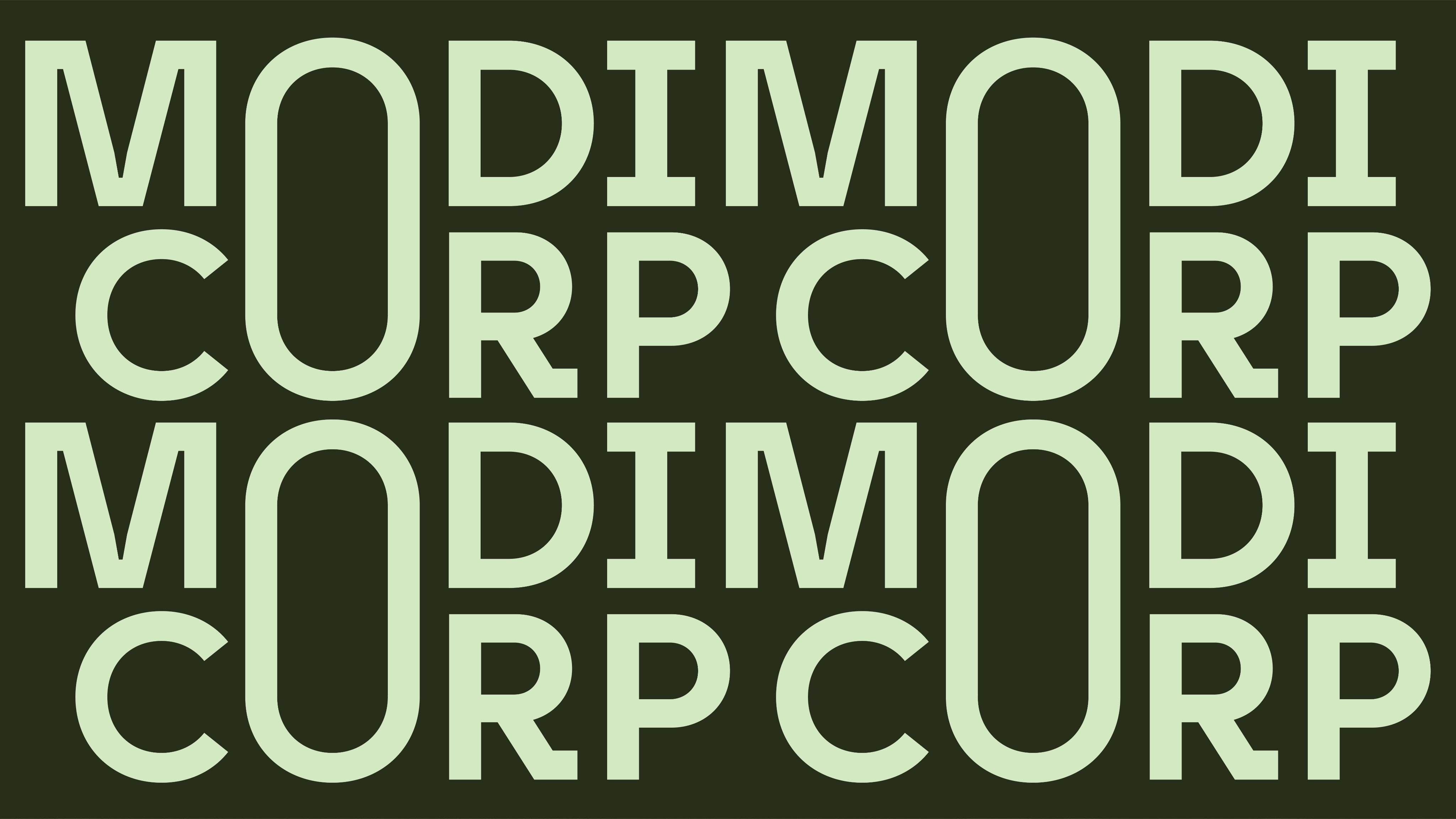 MODI CORP image 3