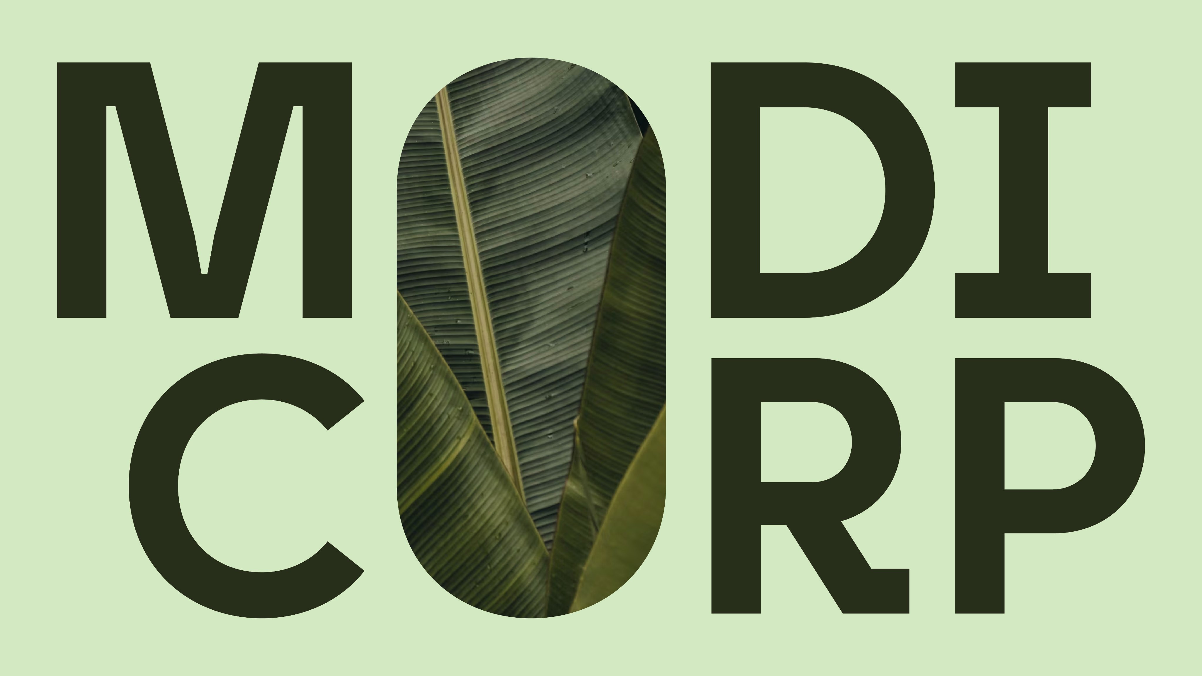 MODI CORP image 1