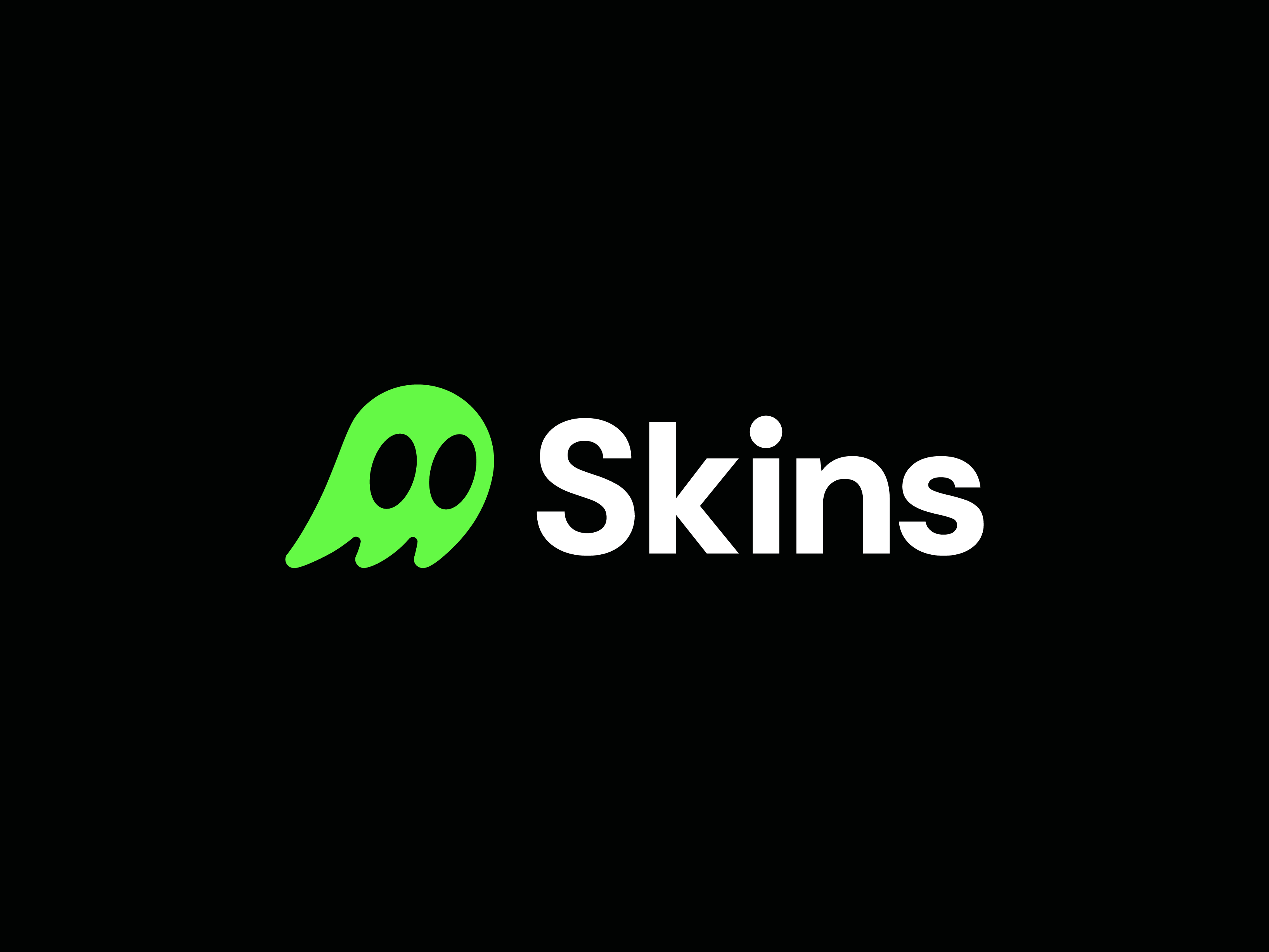 Skins image 1