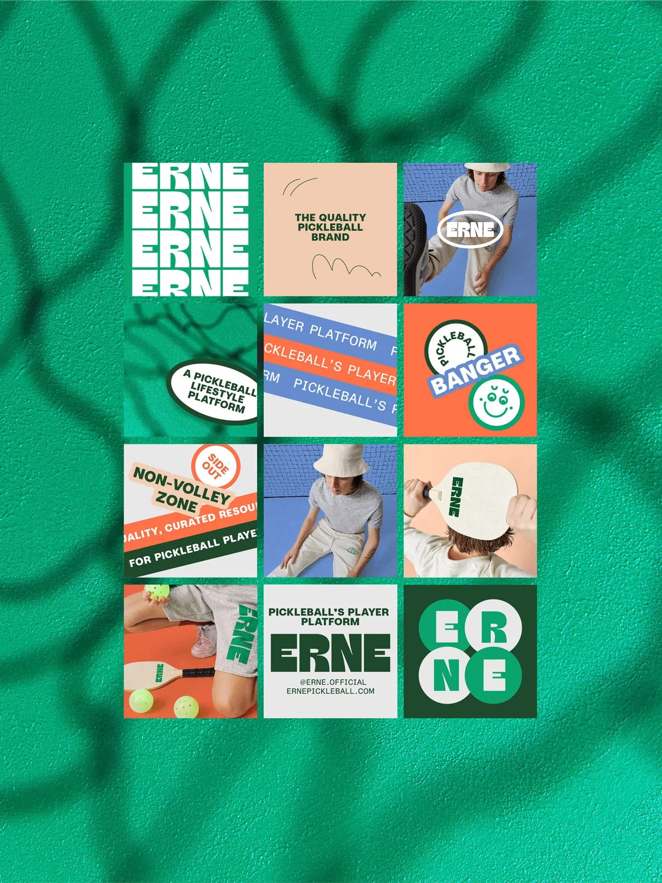 ERNE image 3