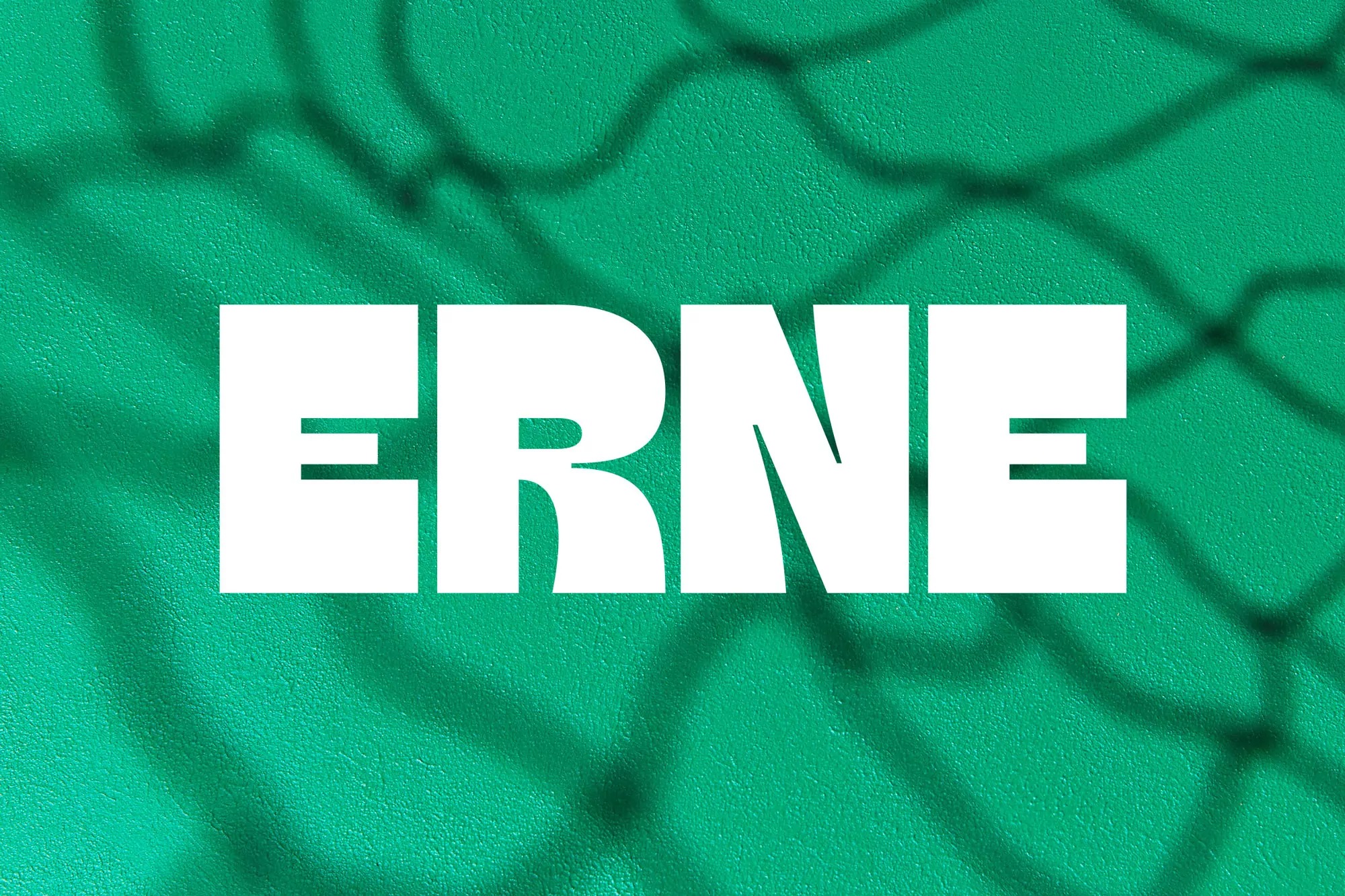 ERNE image 1