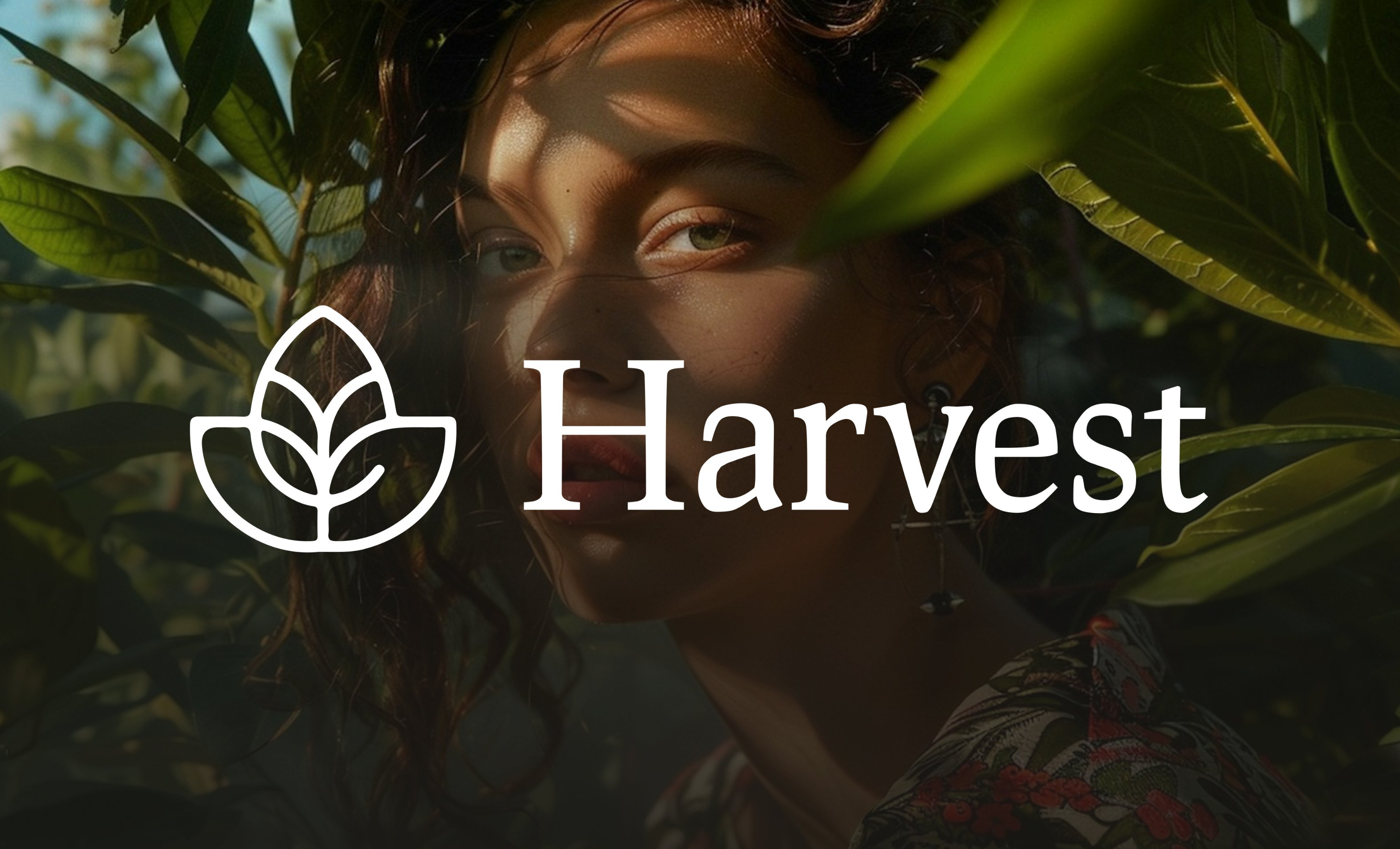 Harvest image 1