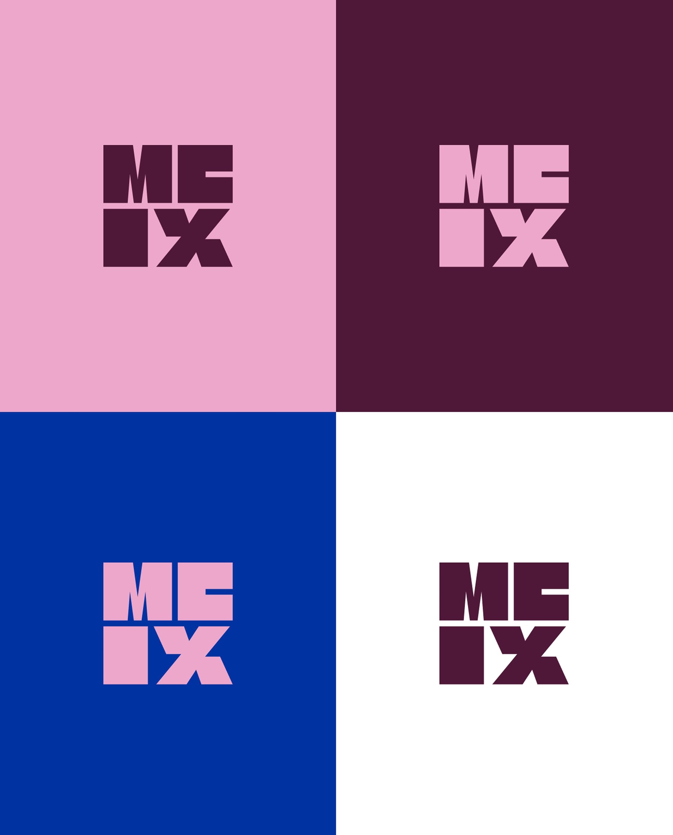 MEIX image 2