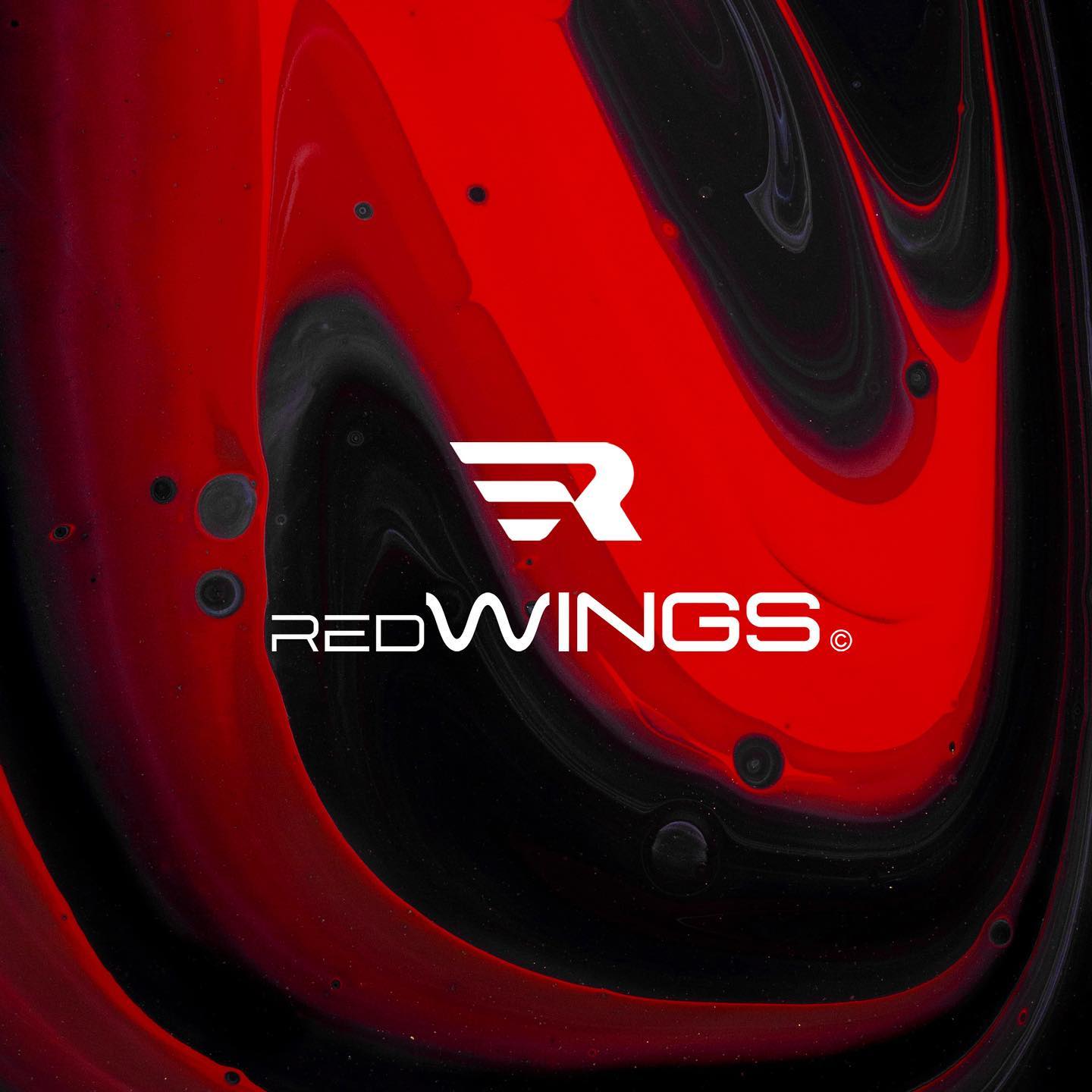 RED WINGS image 1