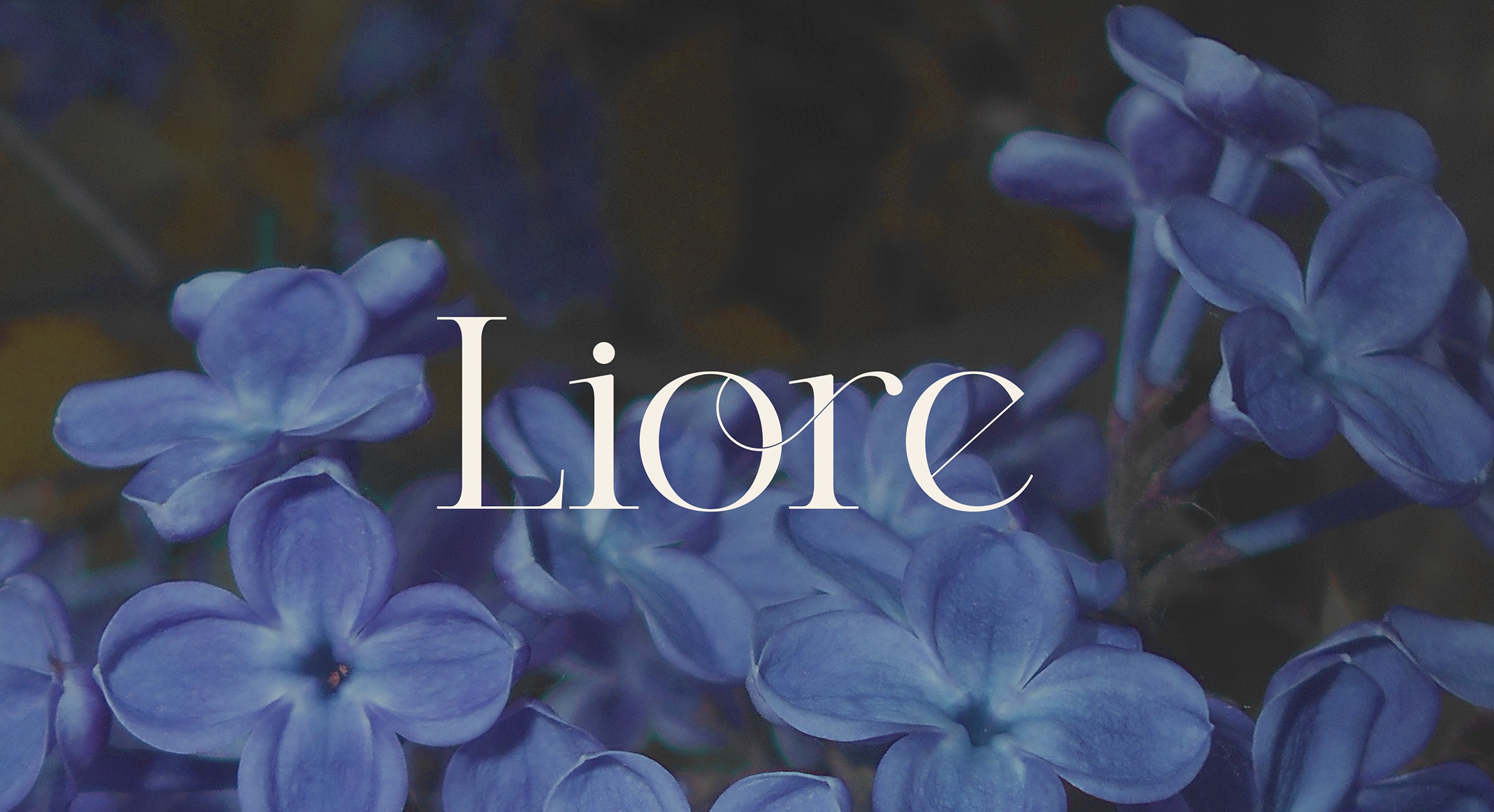 Liore image 1