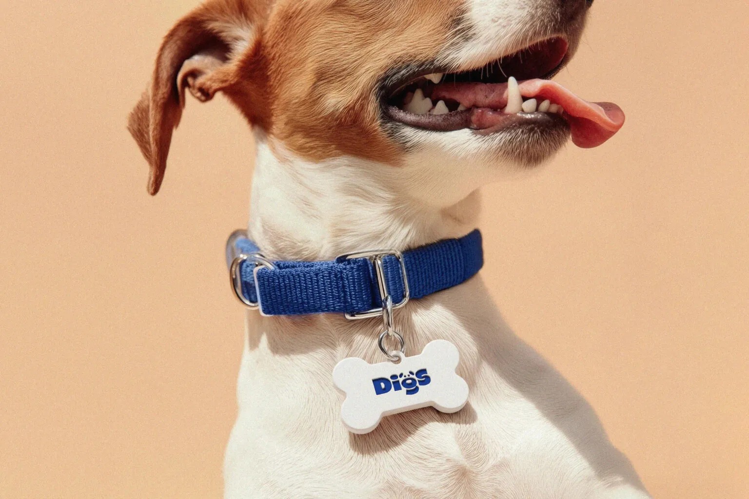 Digs image 2