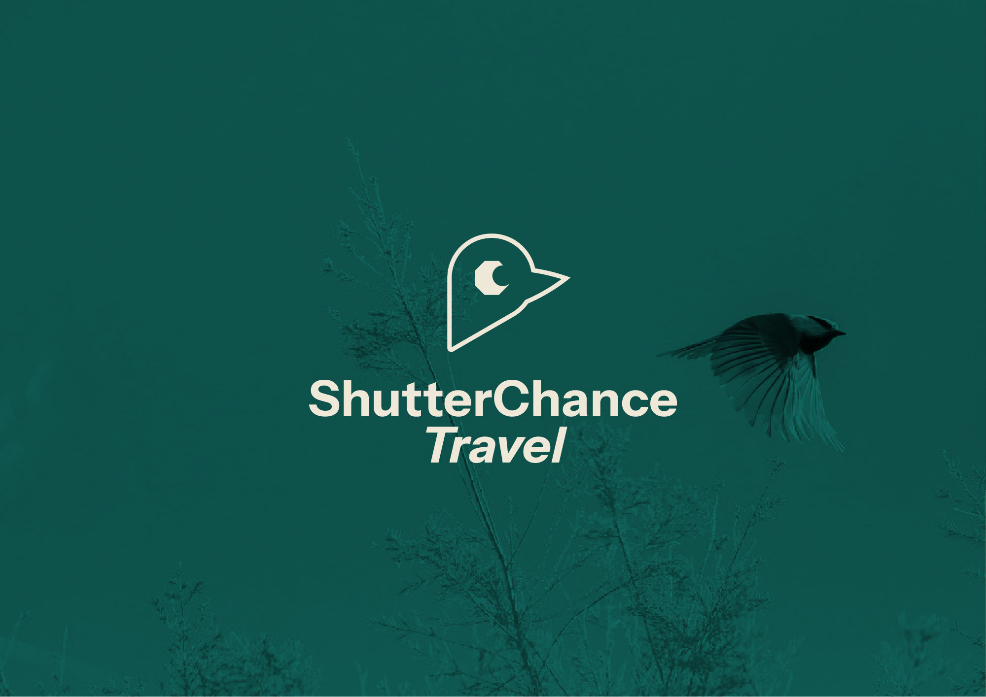 ShutterChance Travel image 1