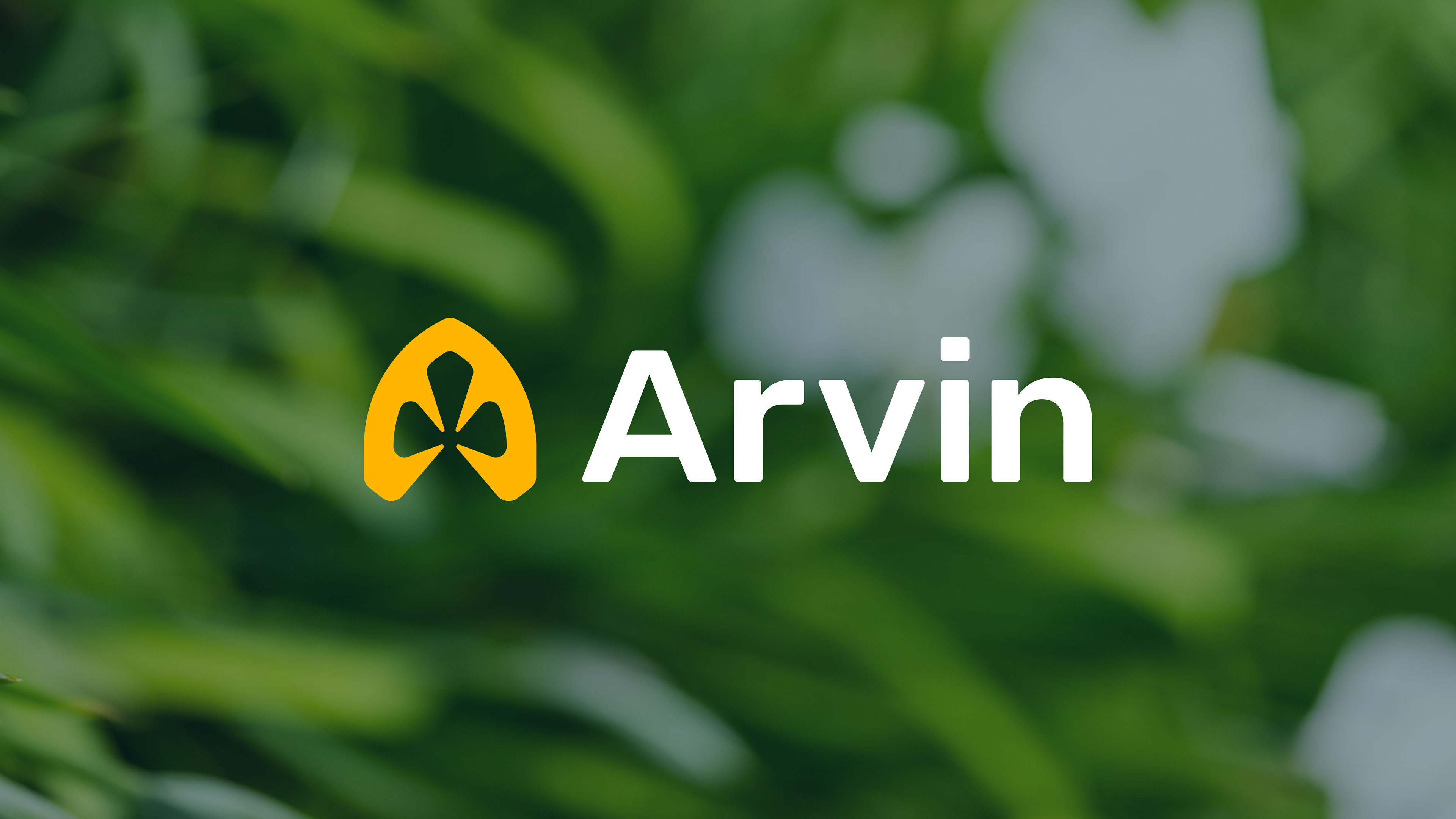 Arvin image 1
