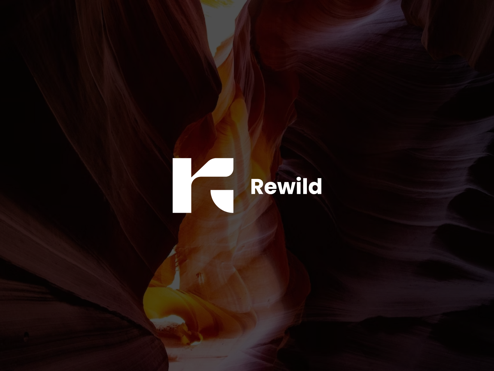 Rewild image 1