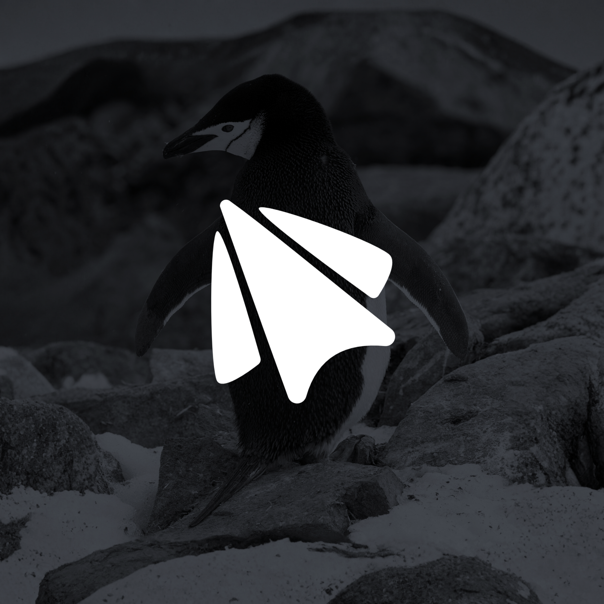 Abstract Paper Airplane Mark image 1
