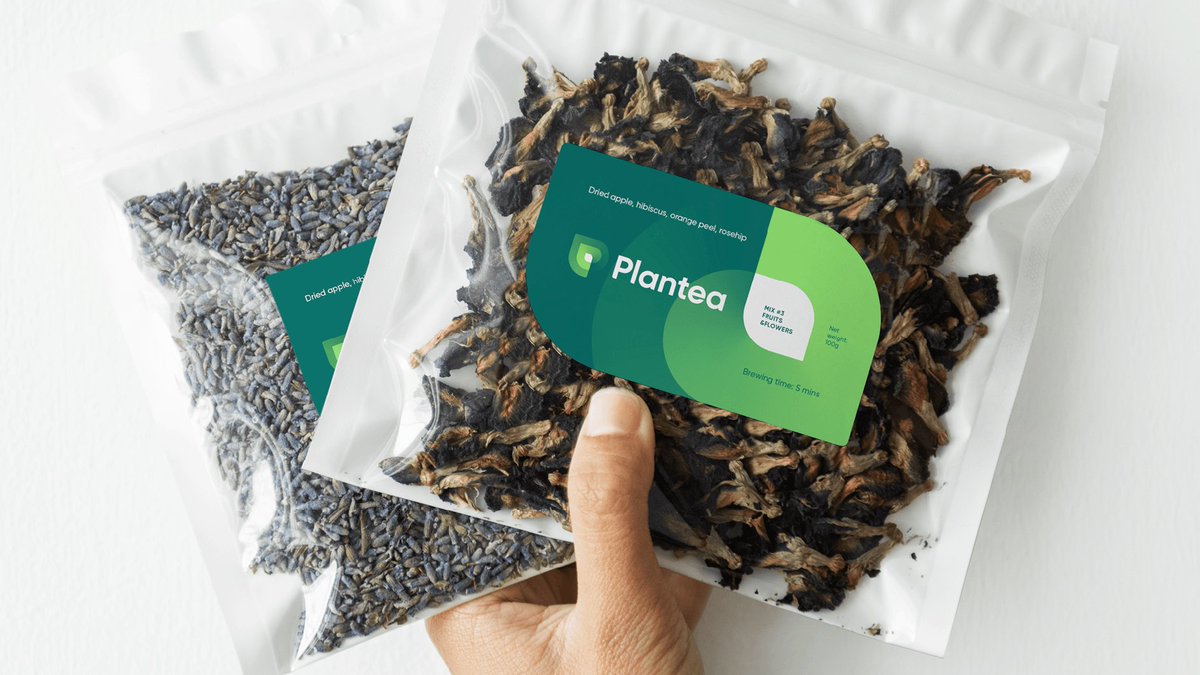 Plantea image 3