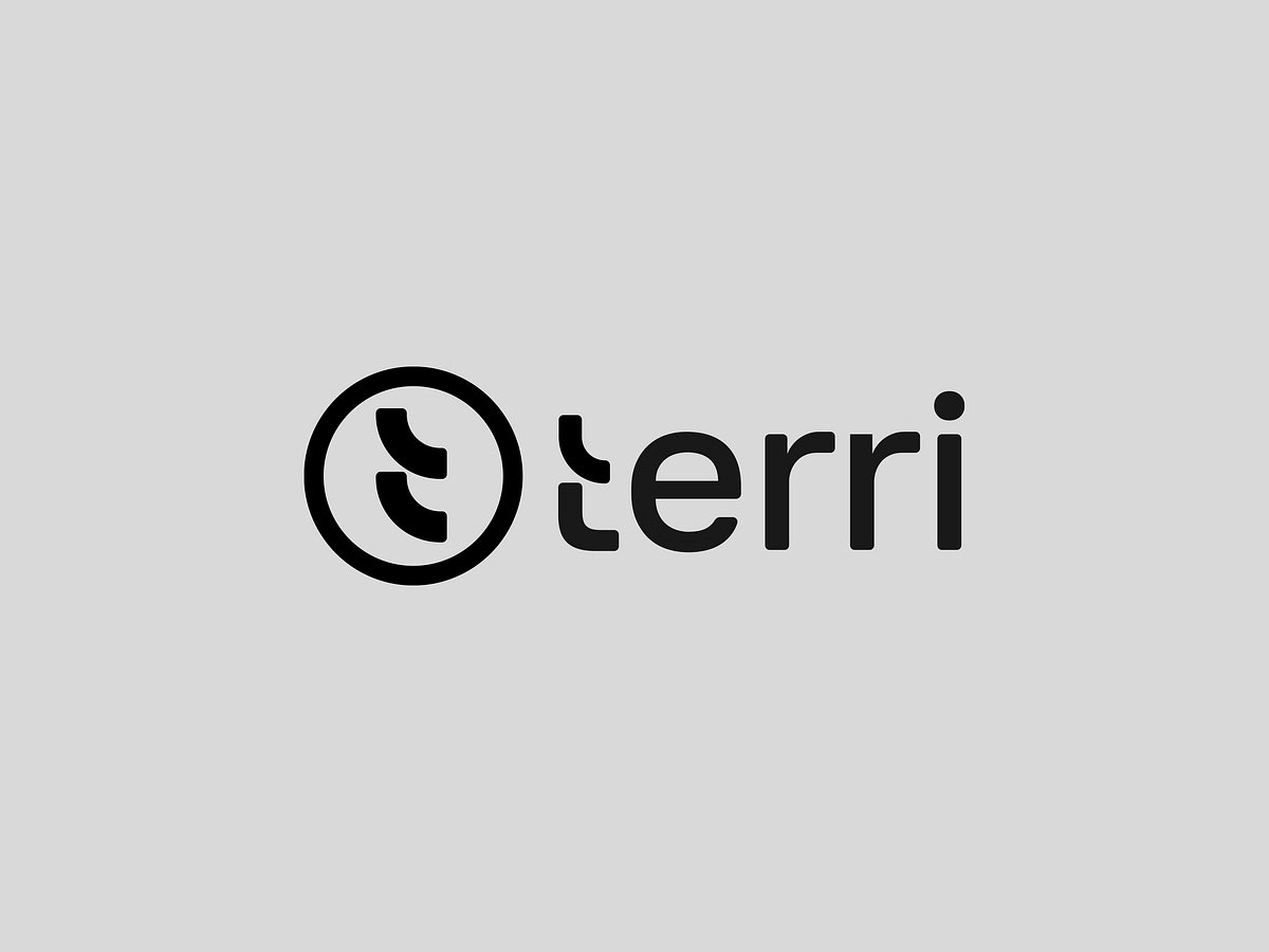 terri image 1