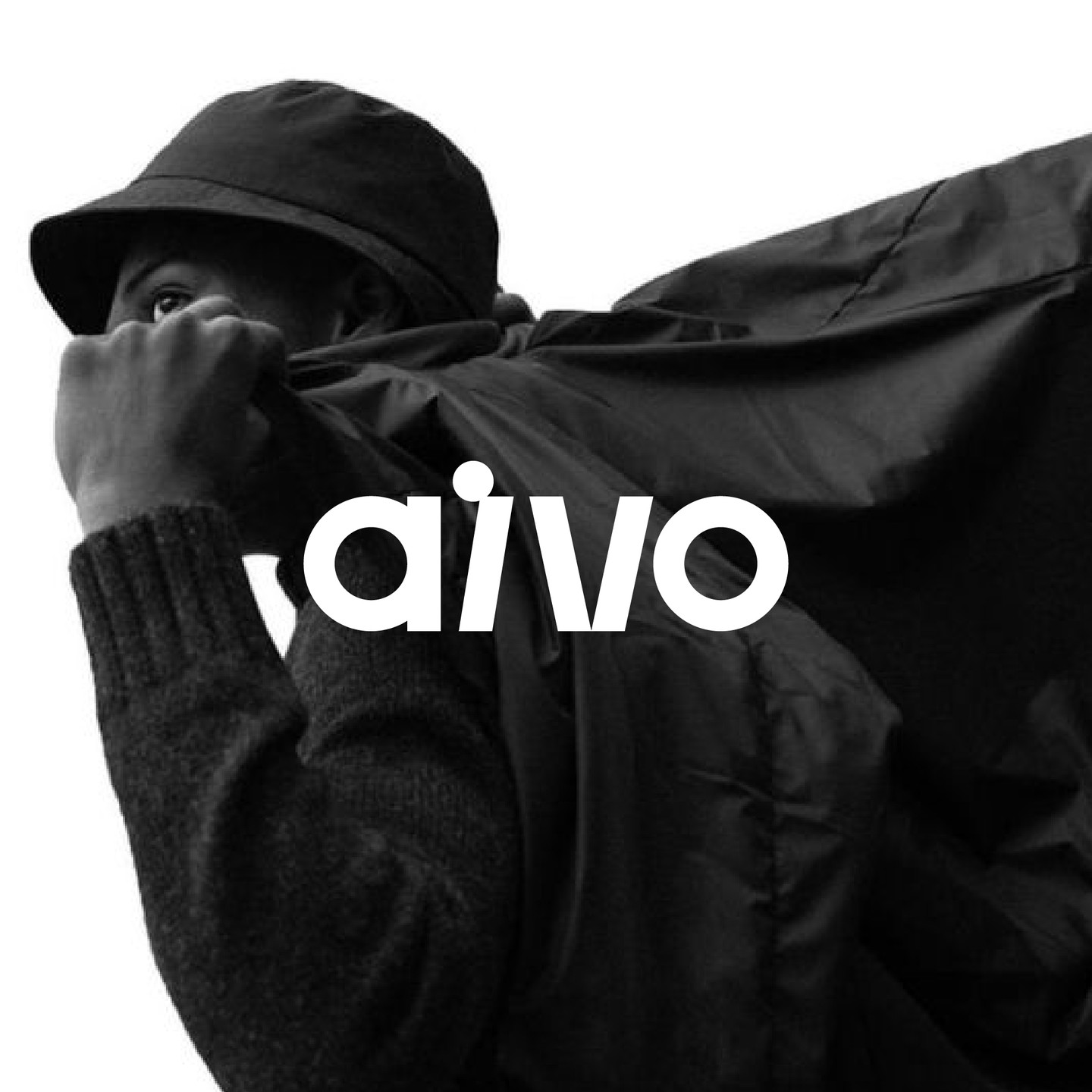 aivo image 1