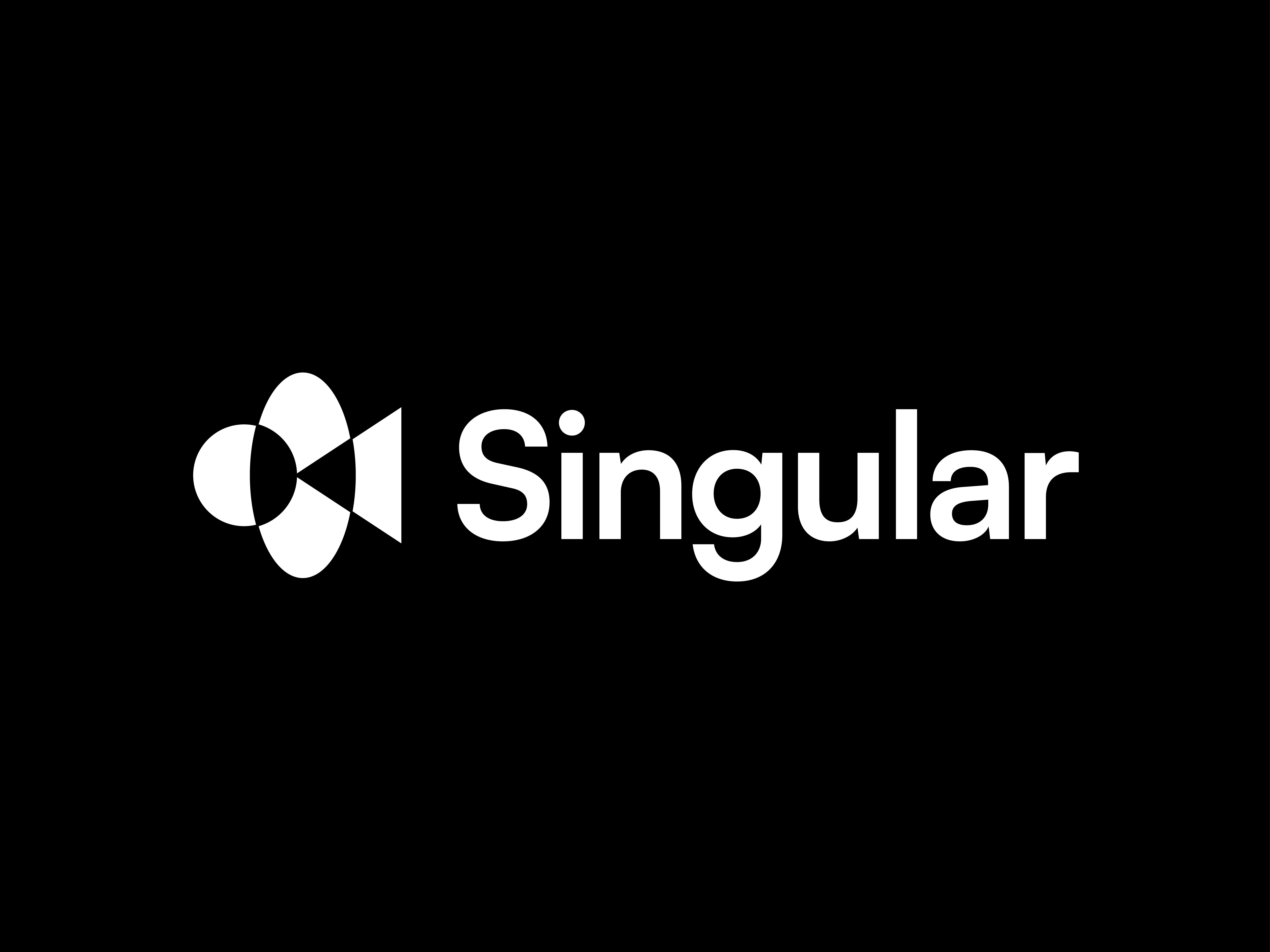 Singular image 1