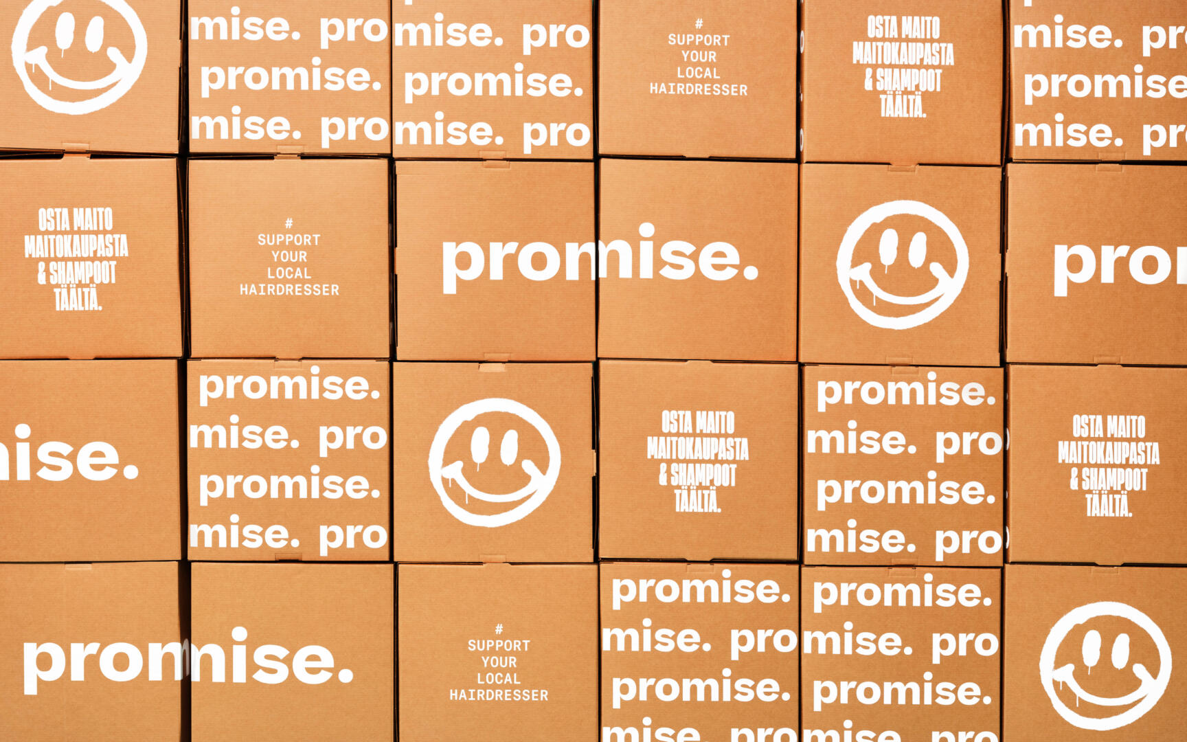 promise. image 3