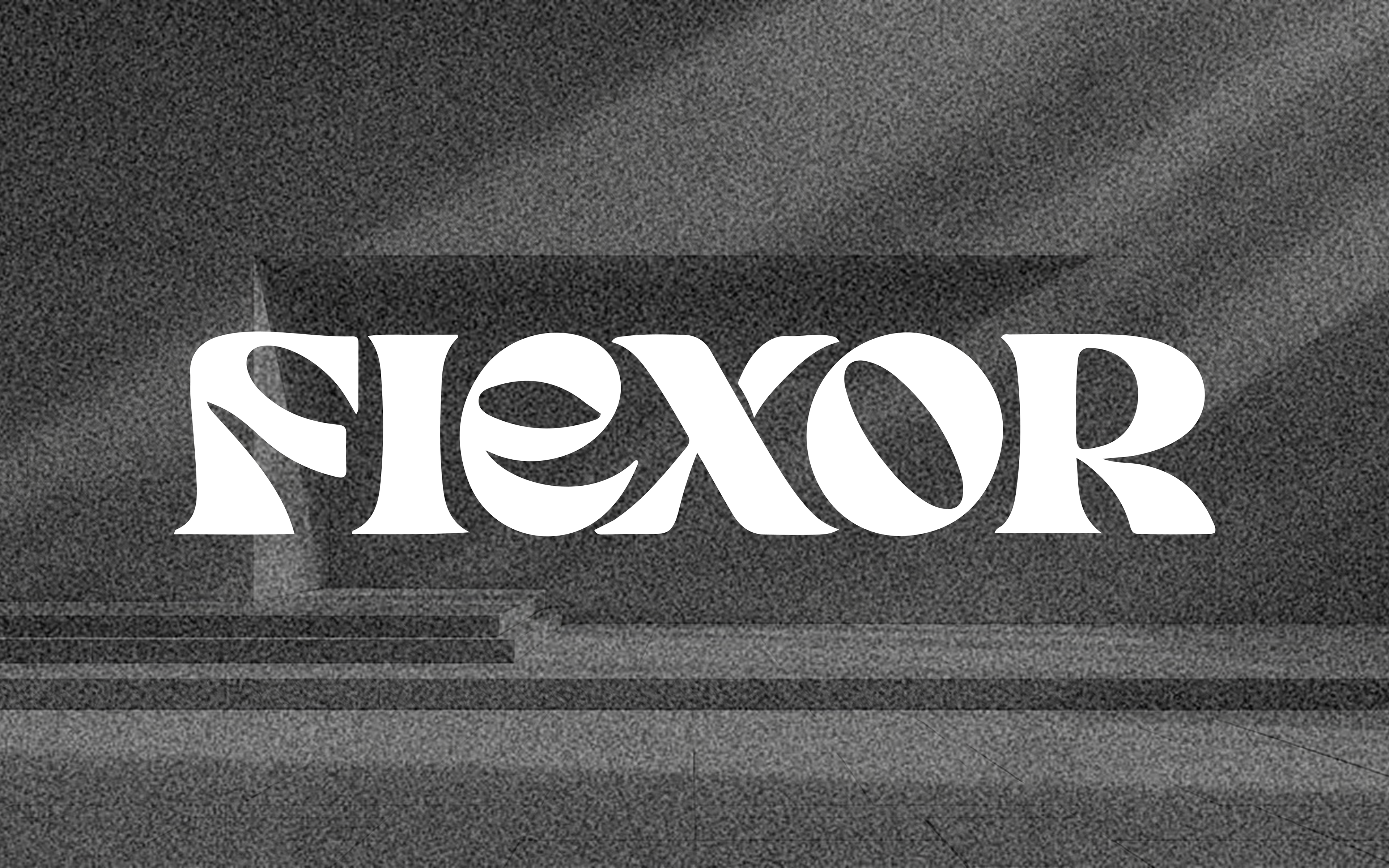 FLEXOR image 1