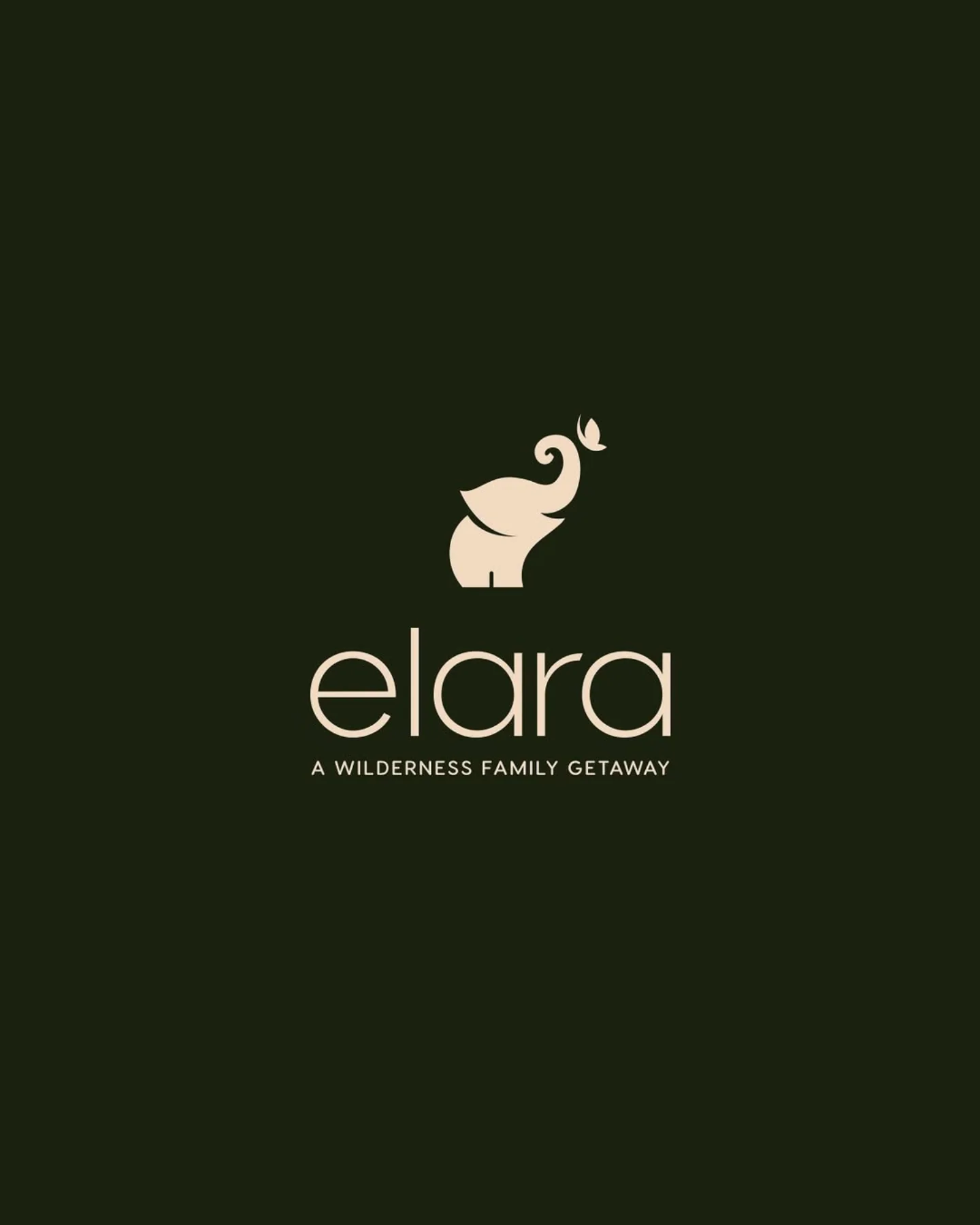 elara image 1