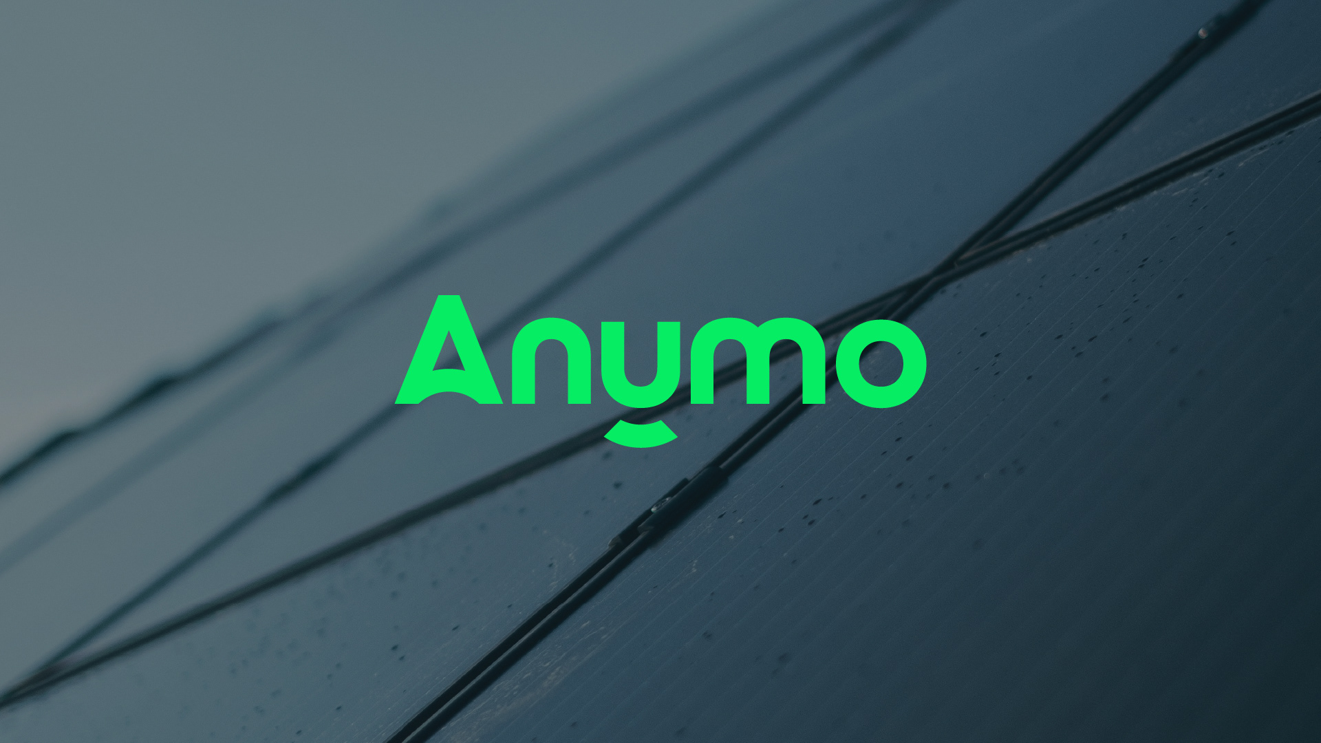 Anumo image 1