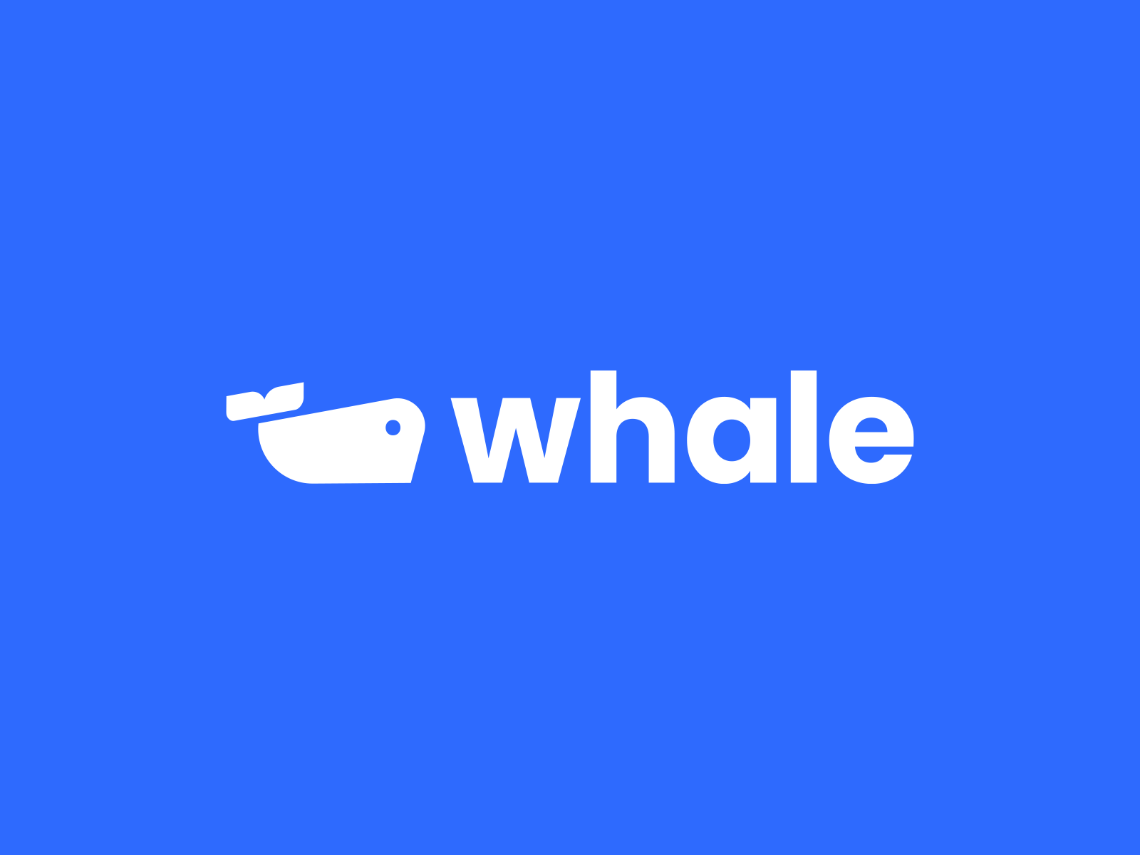 whale image 1