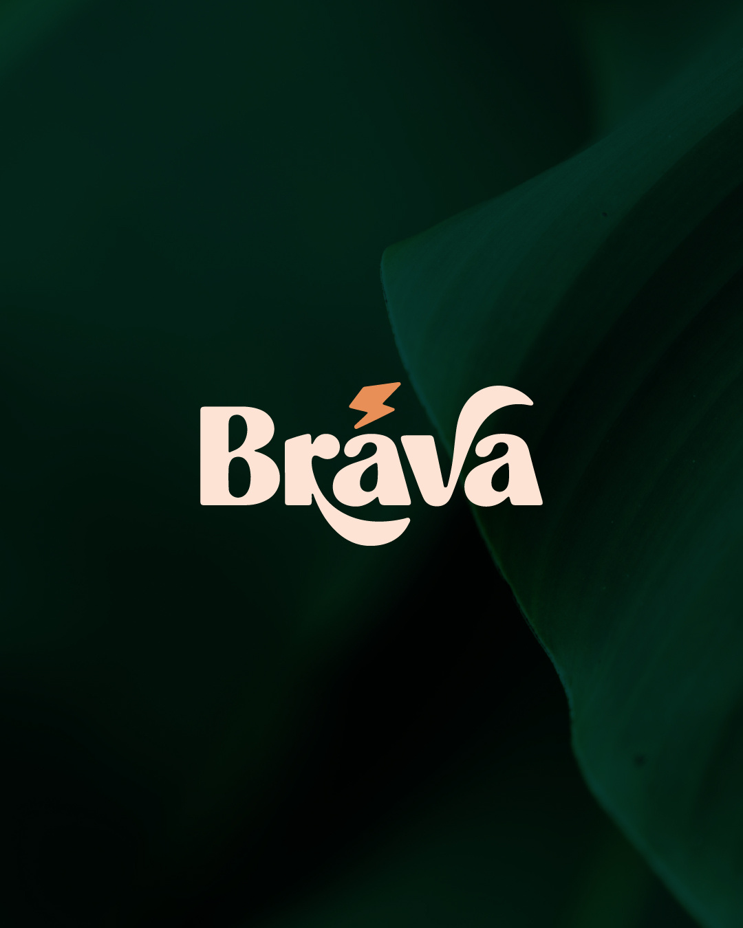 Brava image 1
