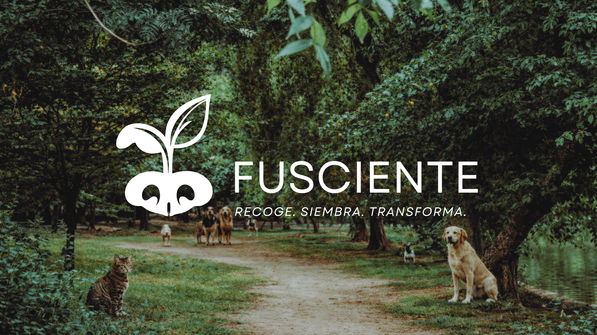 FUSCIENTE image 1