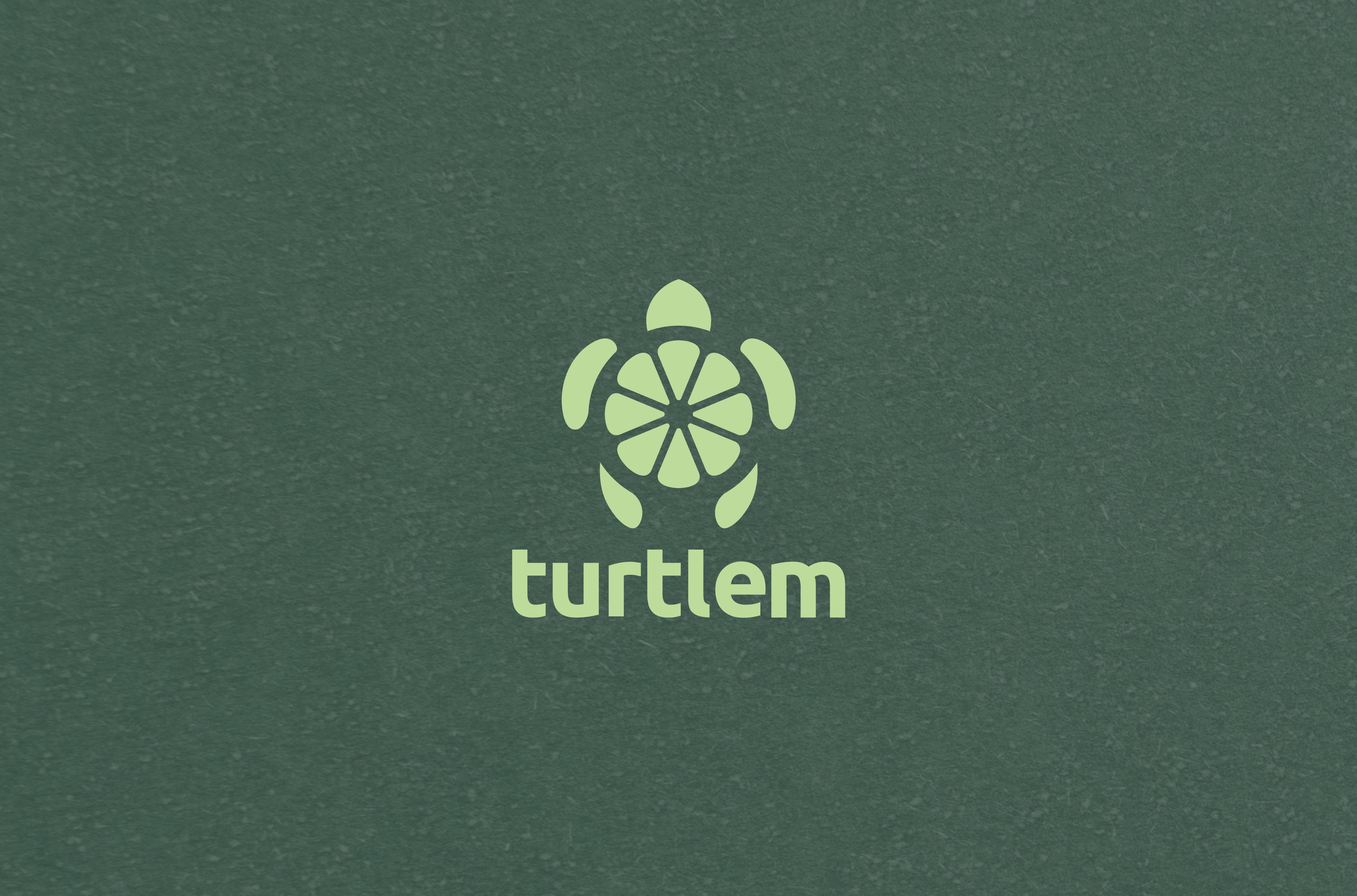 turtlem image 1