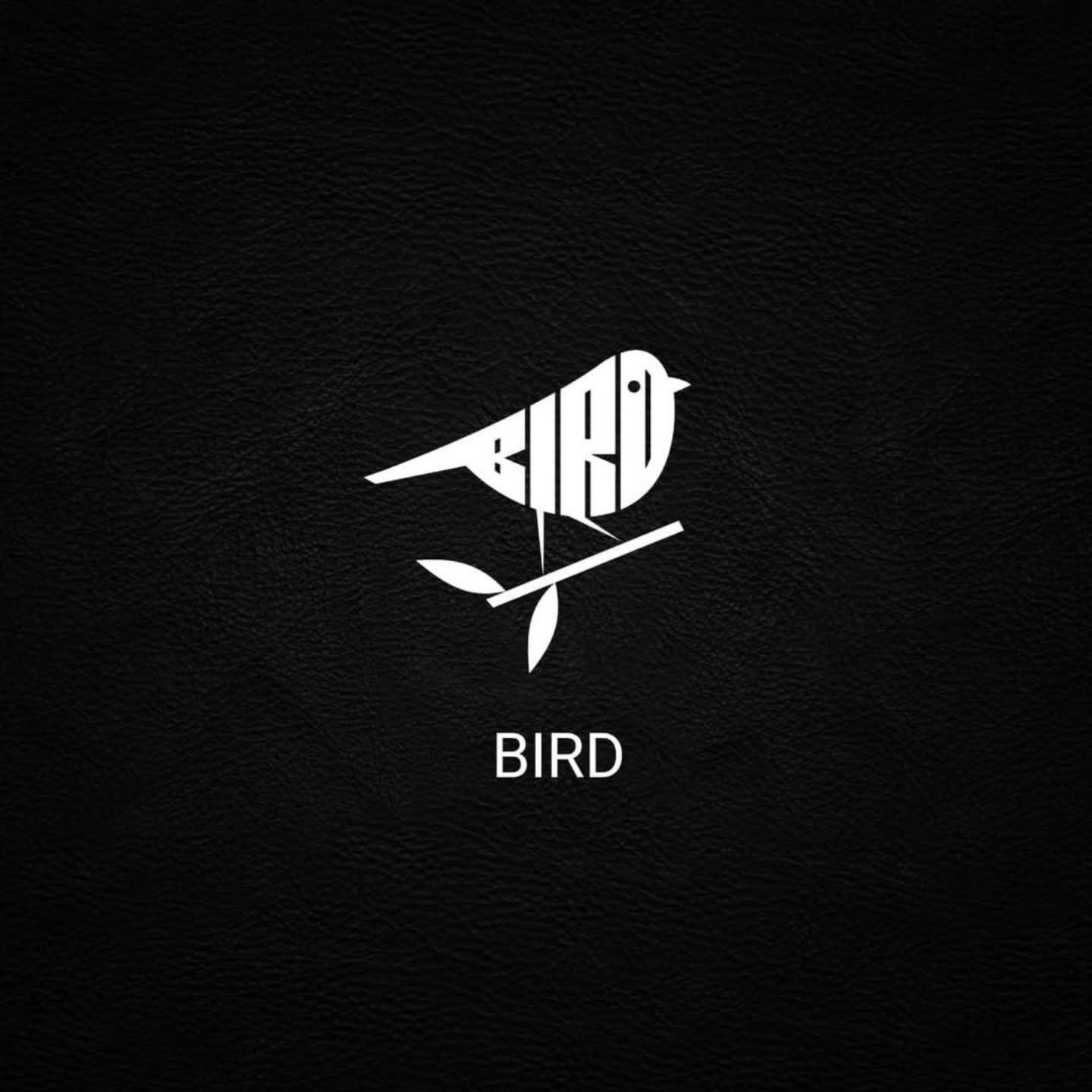 BIRD Concept image 1