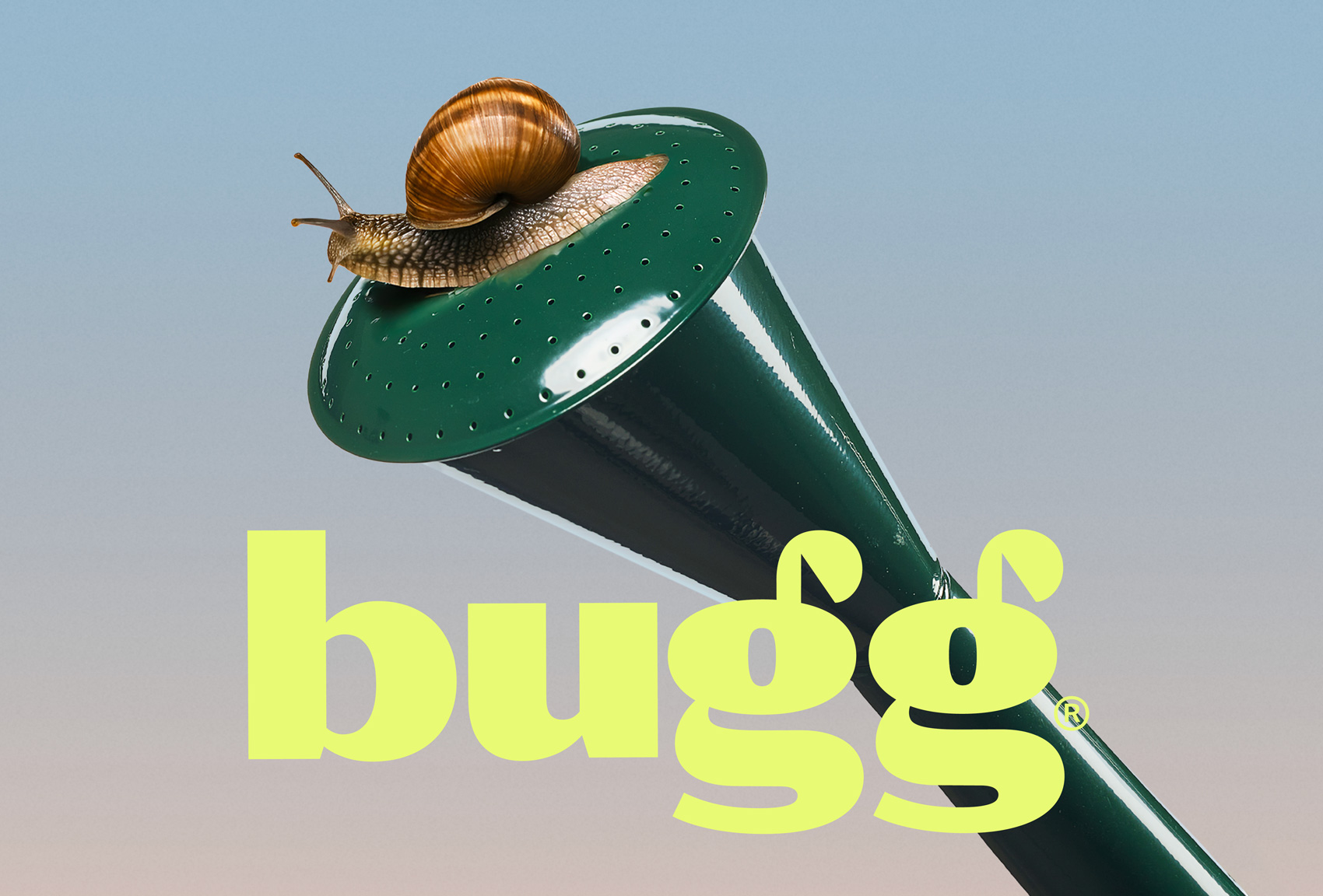 Bugg image 1