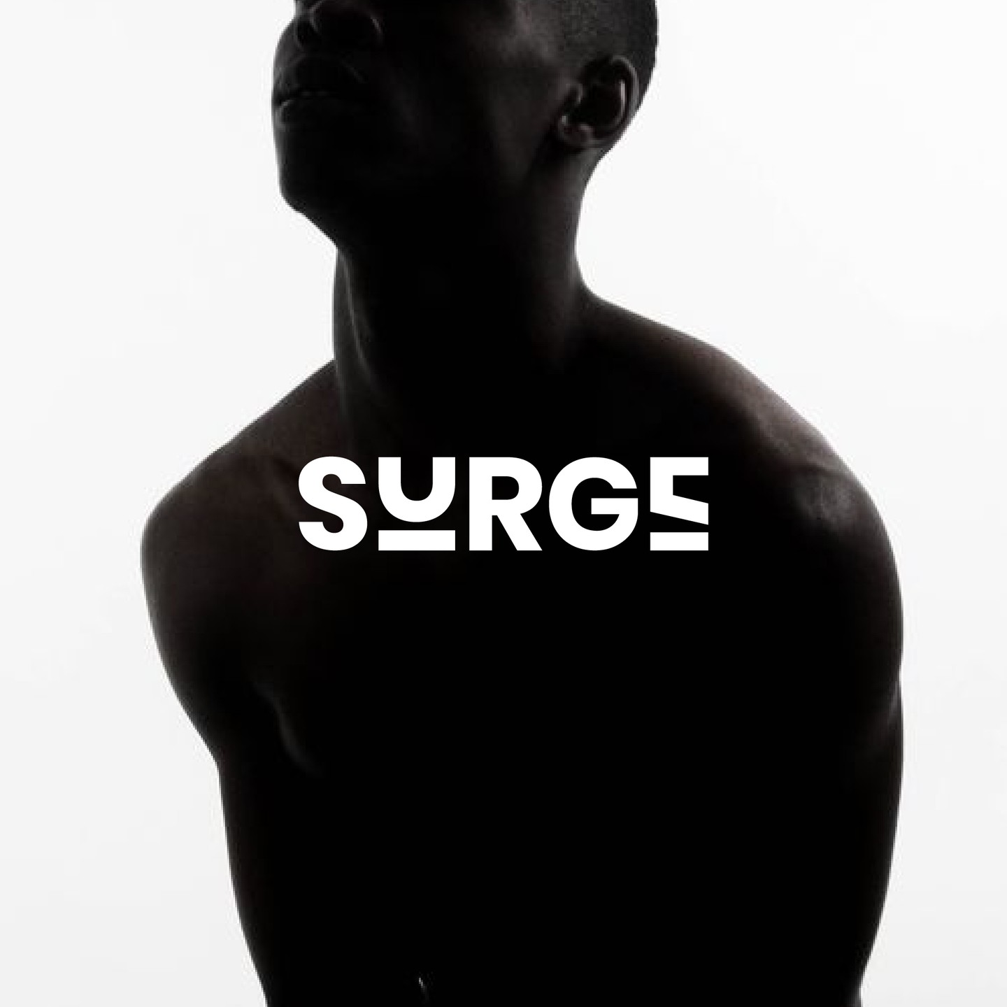 SURGE image 2