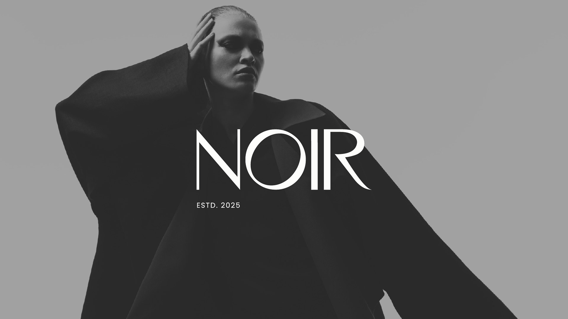 NOIR image 1